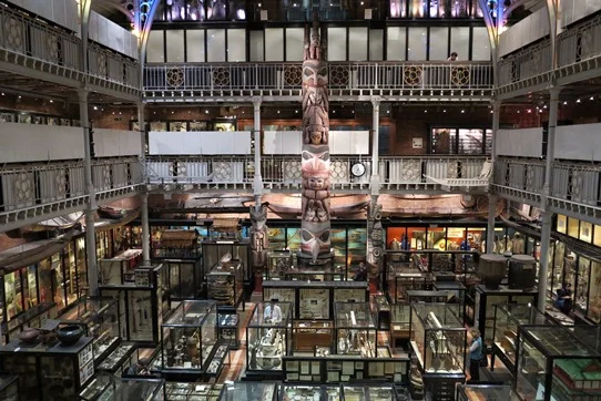 Pitt Rivers Museum, Oxford. Image by Tony Wheeler