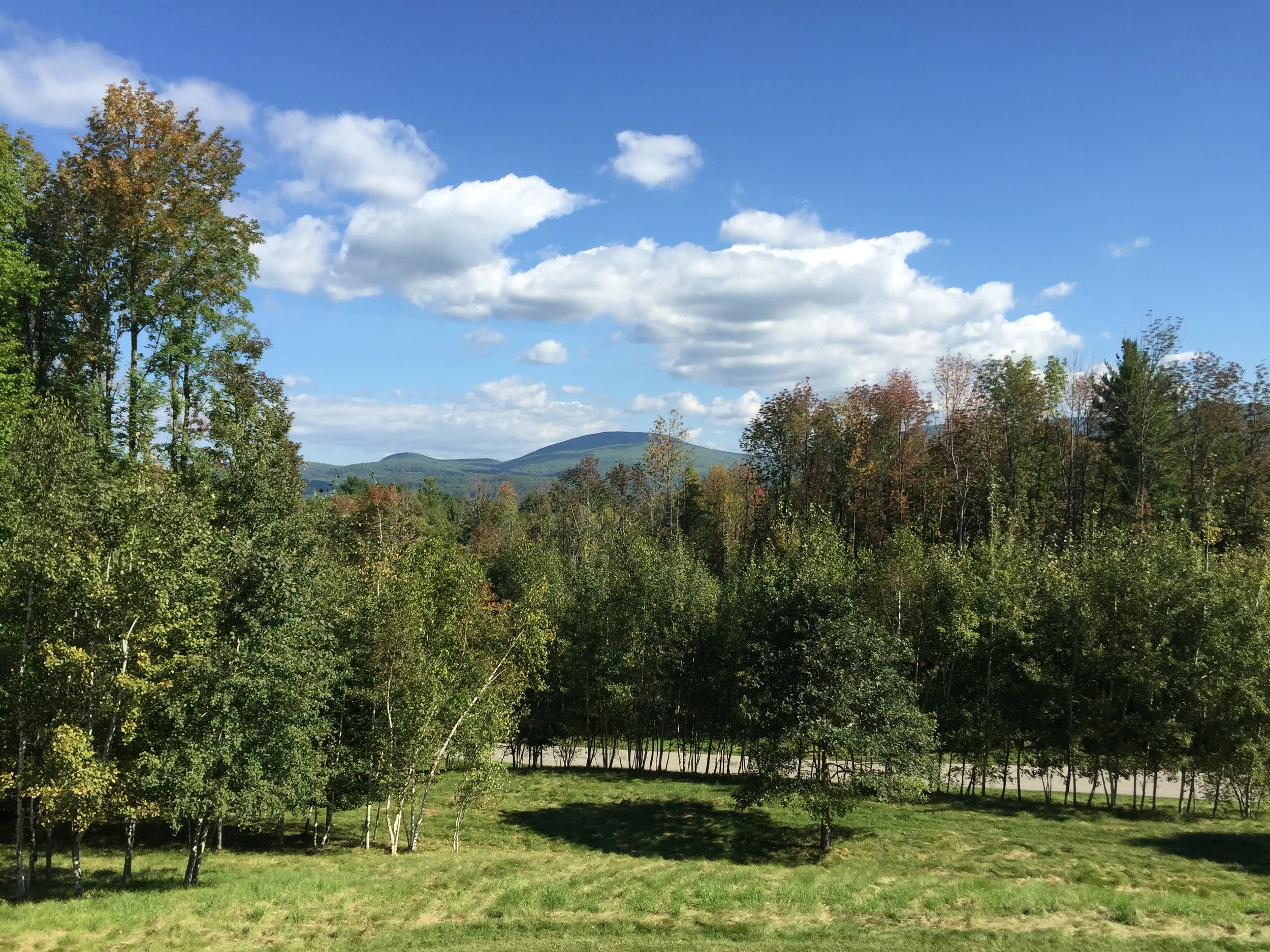 View of the Berkshire Hills from Tadao Ando's 2004 Stone Hill Centre 