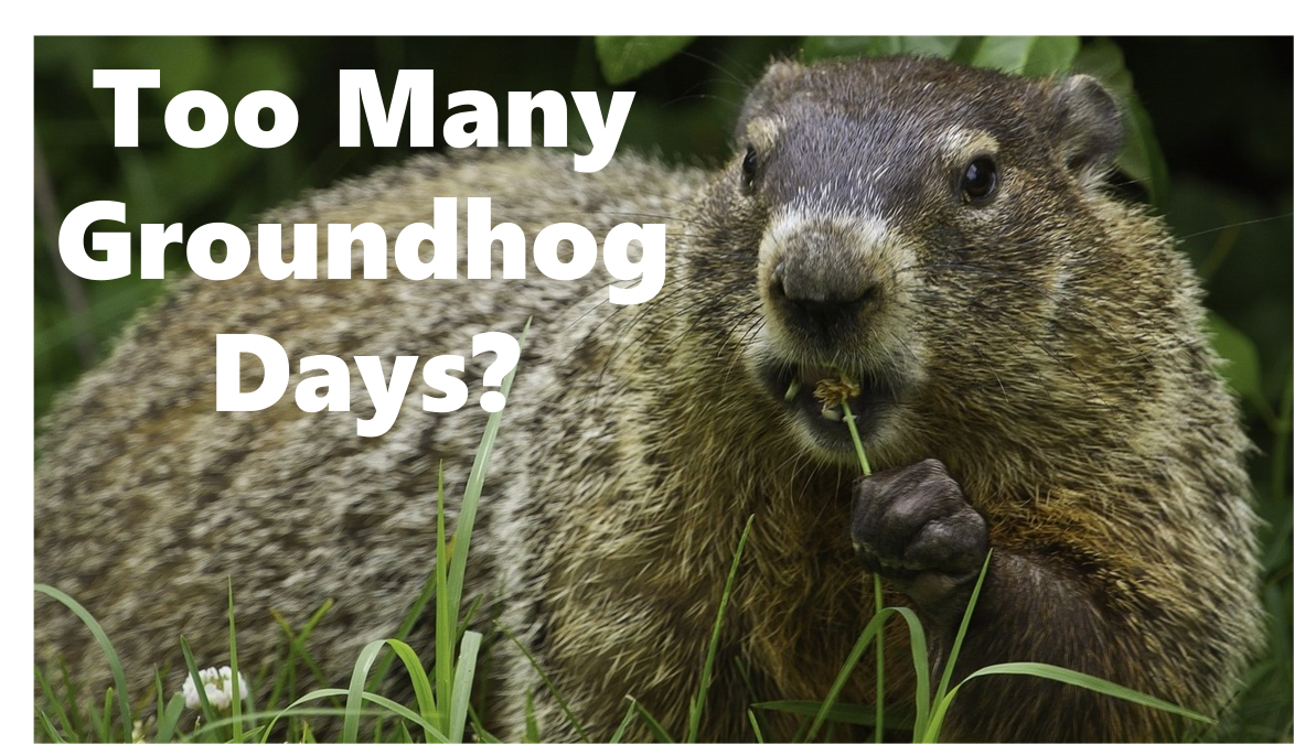 Too-Many-Groundhog-Days-675.png