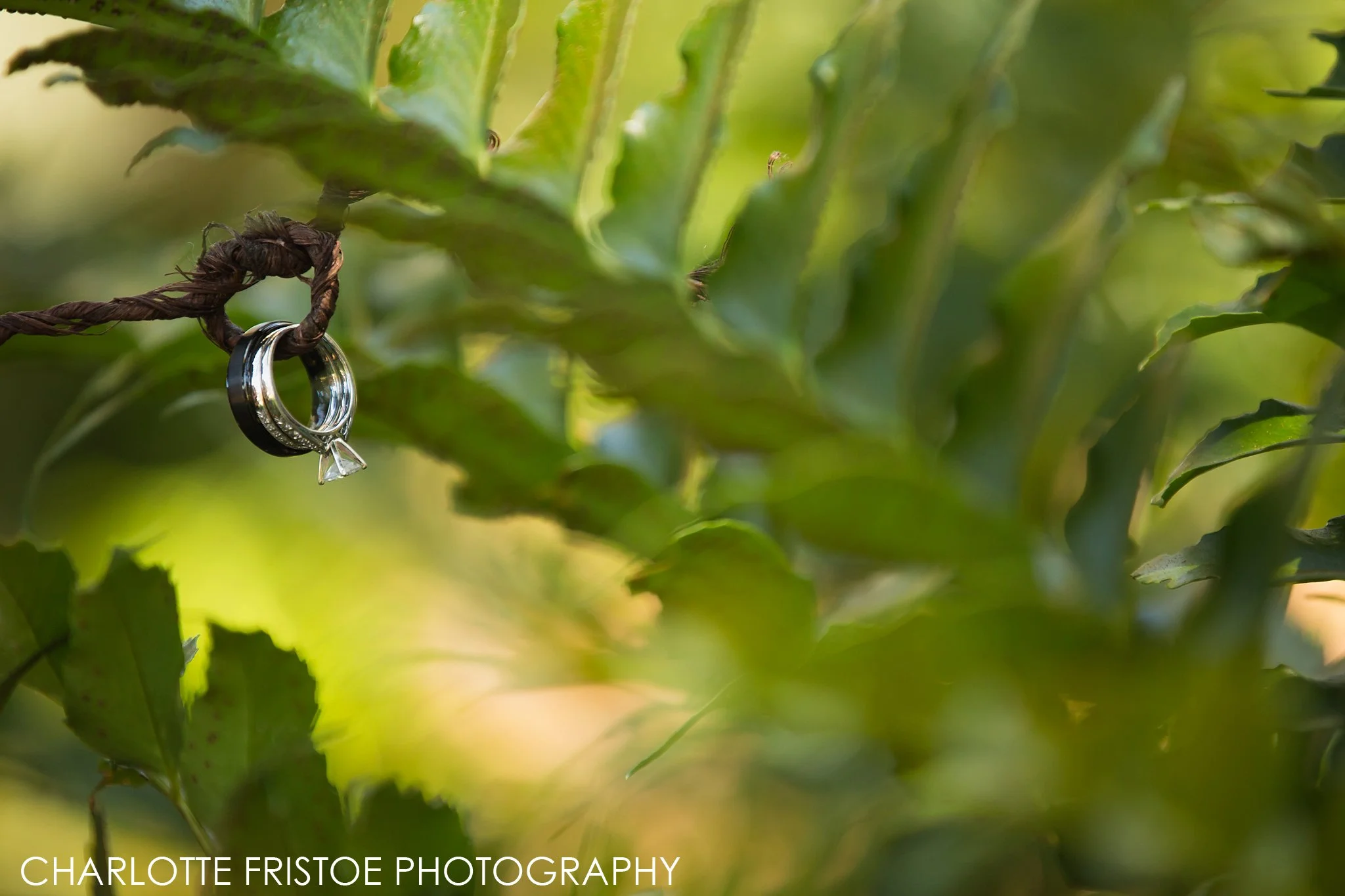 Charlotte Fristoe Photography Wakulla Wedding-1.jpg