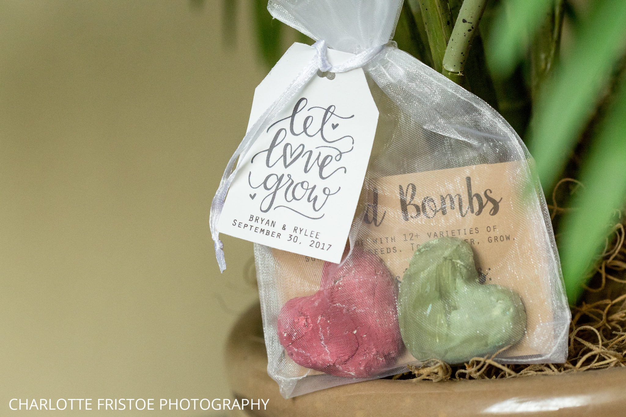 Tallahassee_Wedding_Charlotte_Fristoe-2.jpg