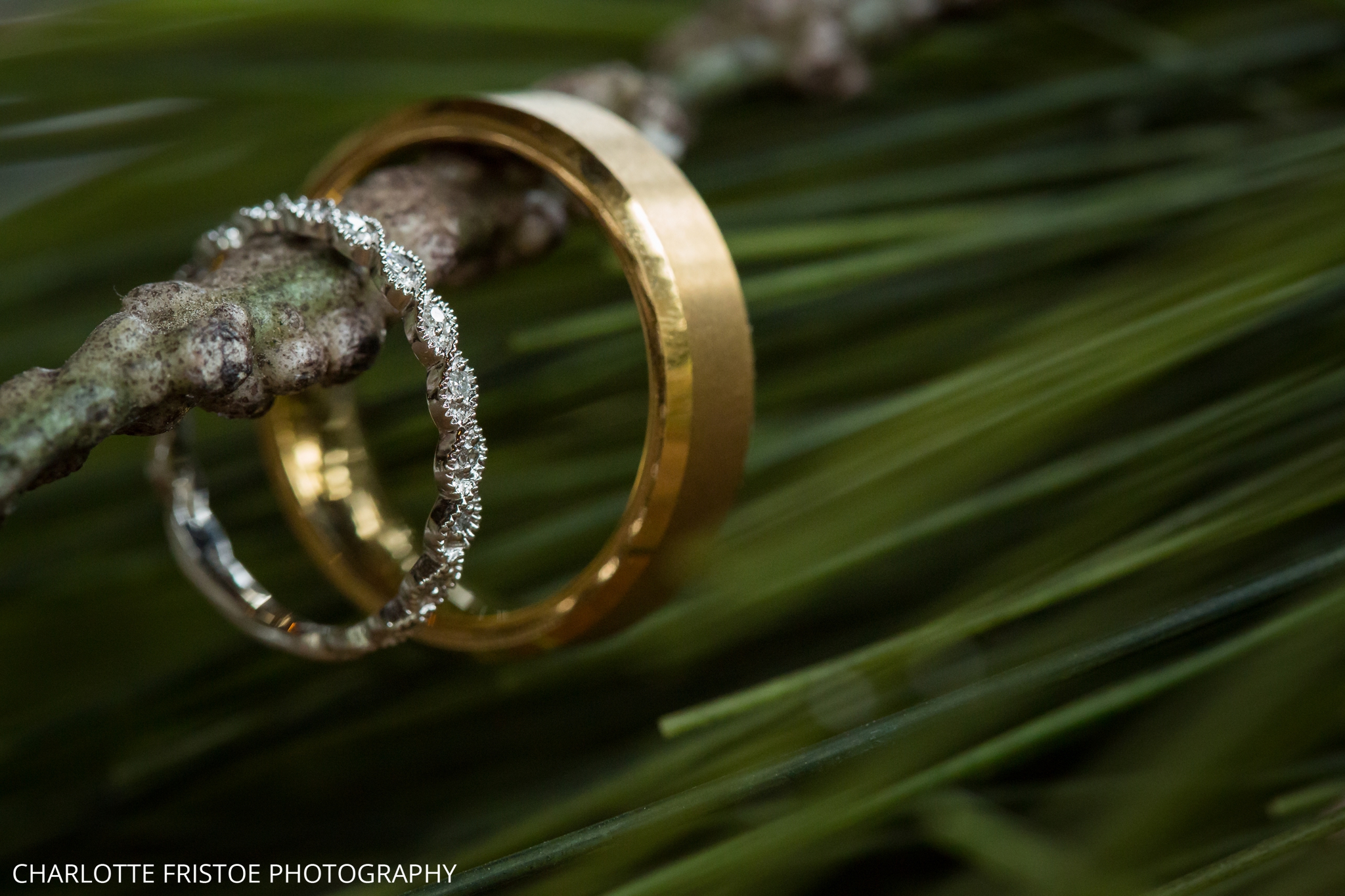 Loblolly_Plantation_Wedding-7.jpg