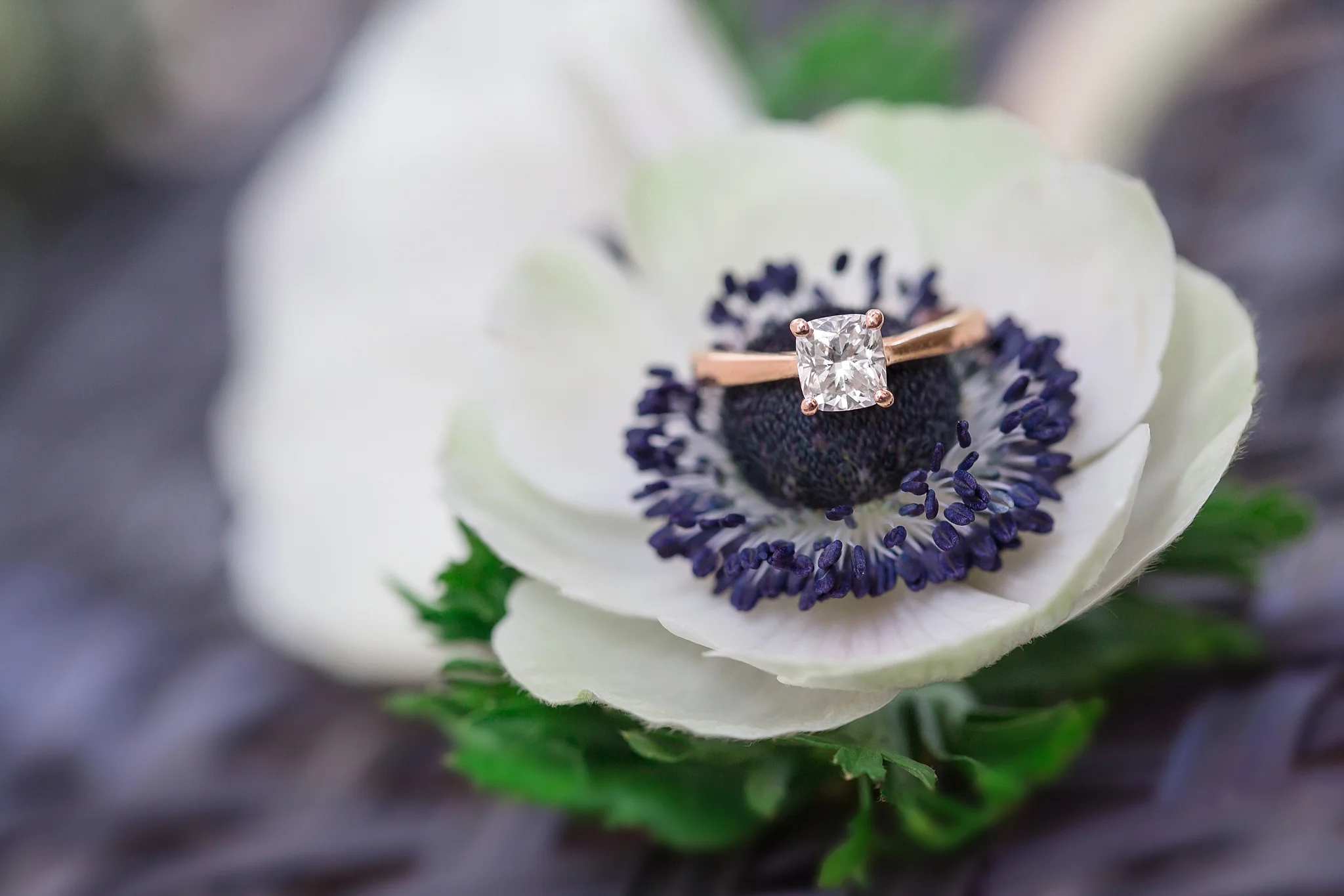 Charlotte Fristoe Photography-5.jpg