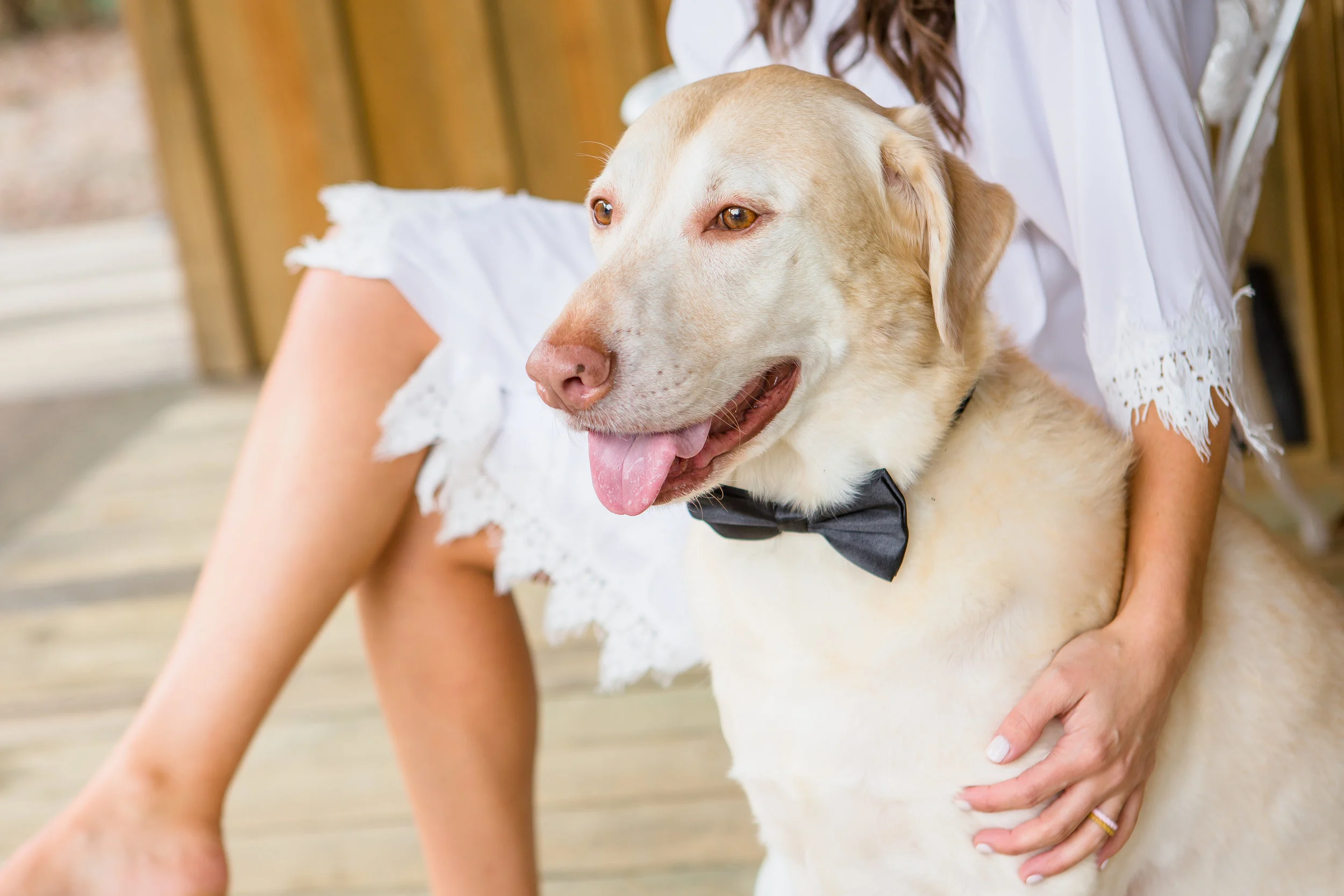 Caren and John Sneak Peek-4.jpg