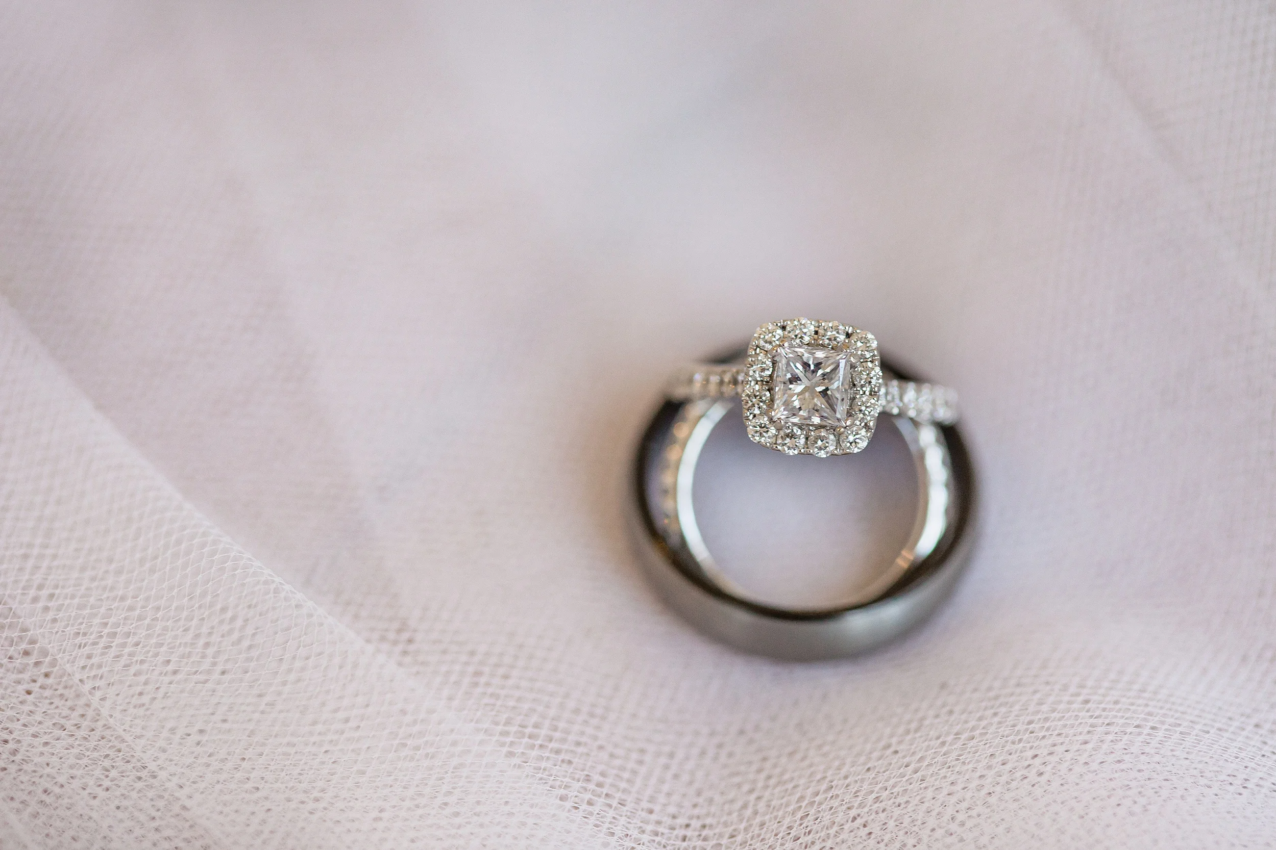 Charlotte Fristoe Photography-5_WEB.jpg