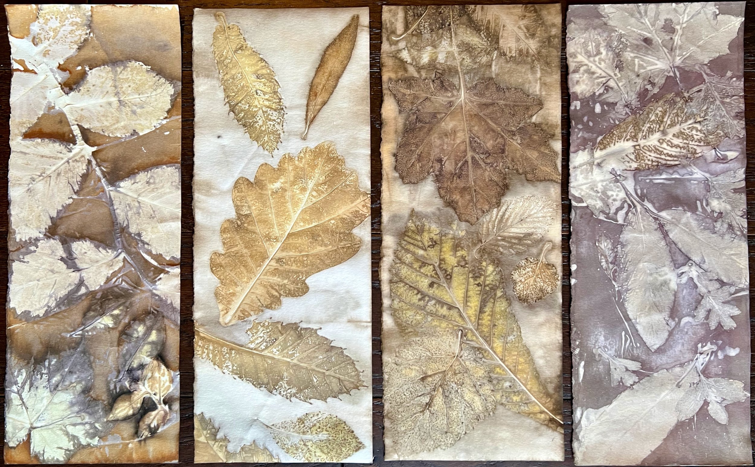 Painting with Plants exhibition