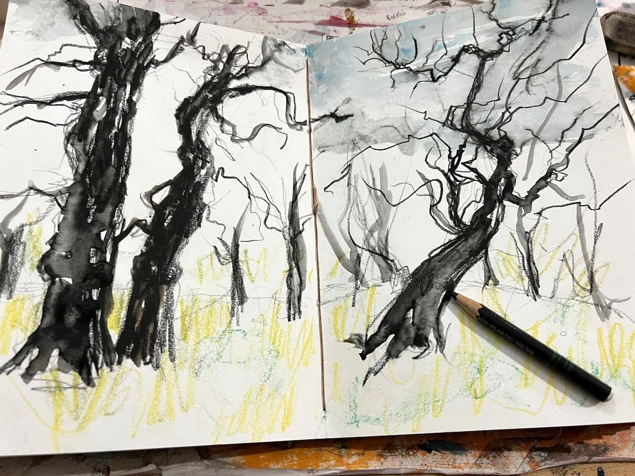 MMSketchbookOaks - 1.jpeg