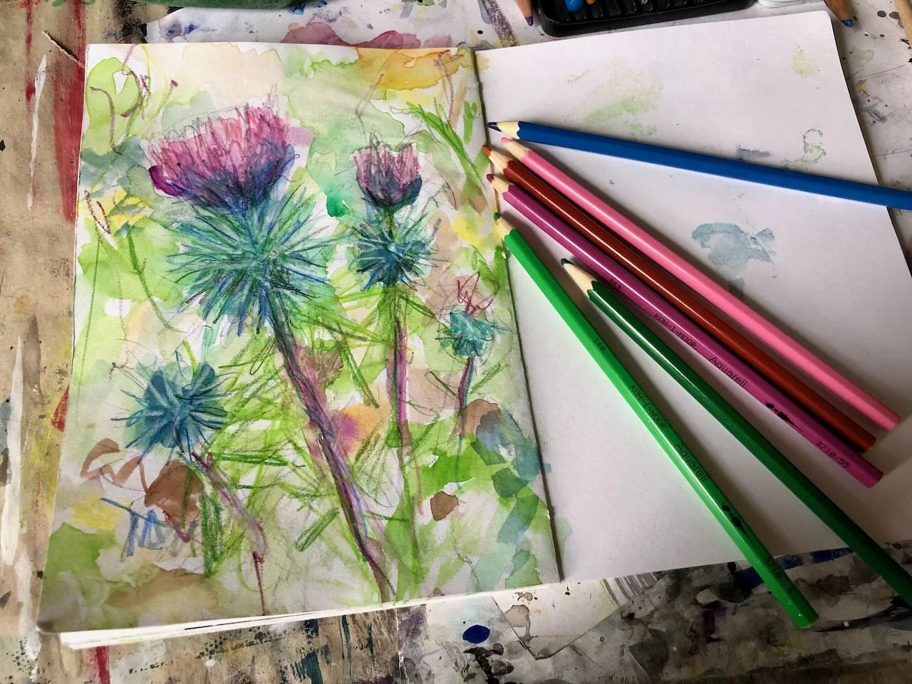 MMSketchbookThistle - 1.jpeg