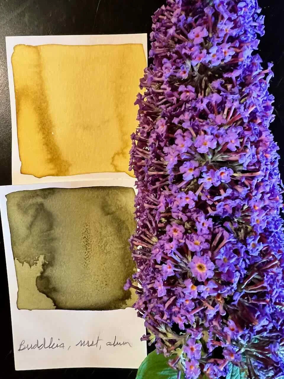 inkmaking - 4.jpeg