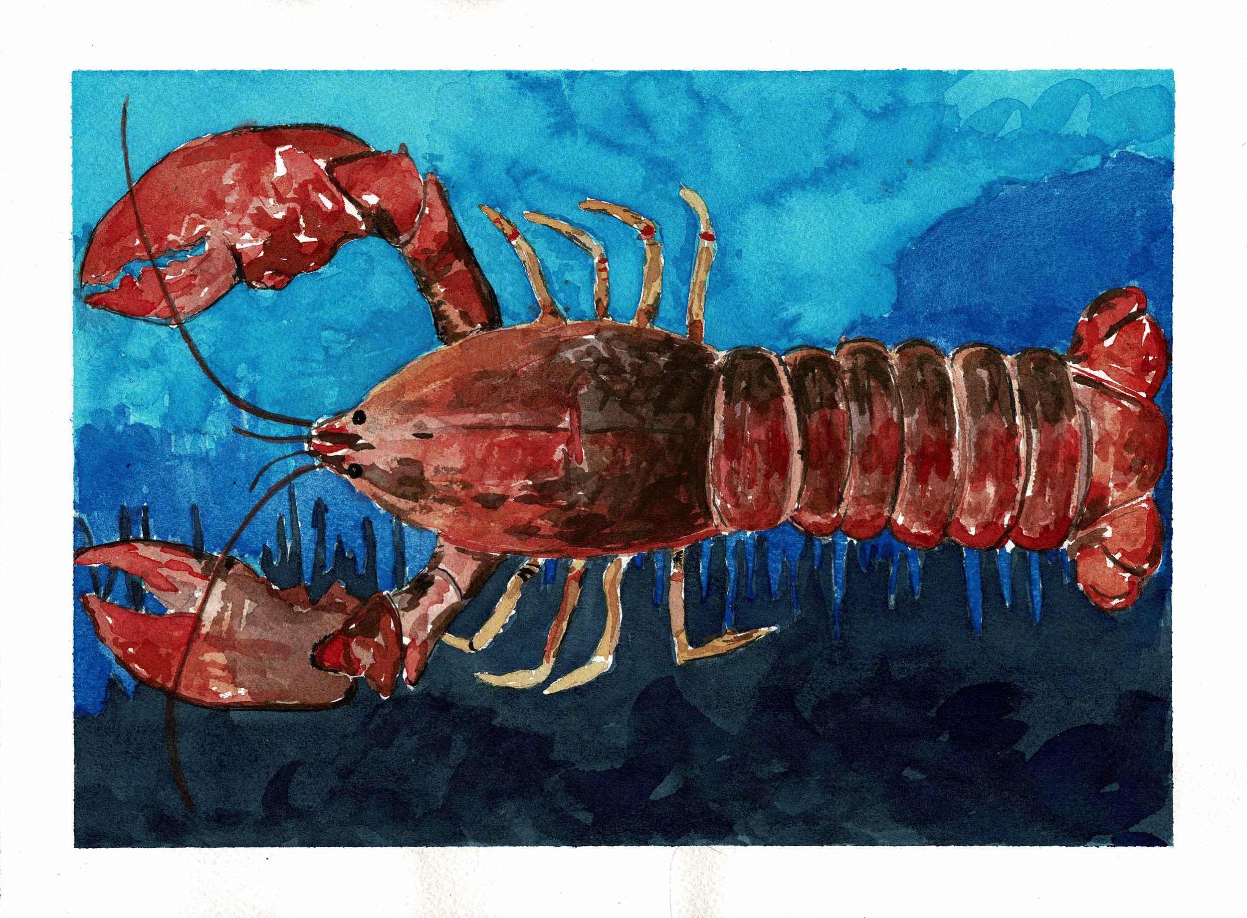 AC_lobster_painting (1).jpg