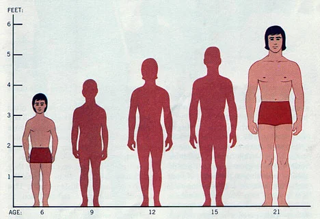 Style Tips for Short Guys