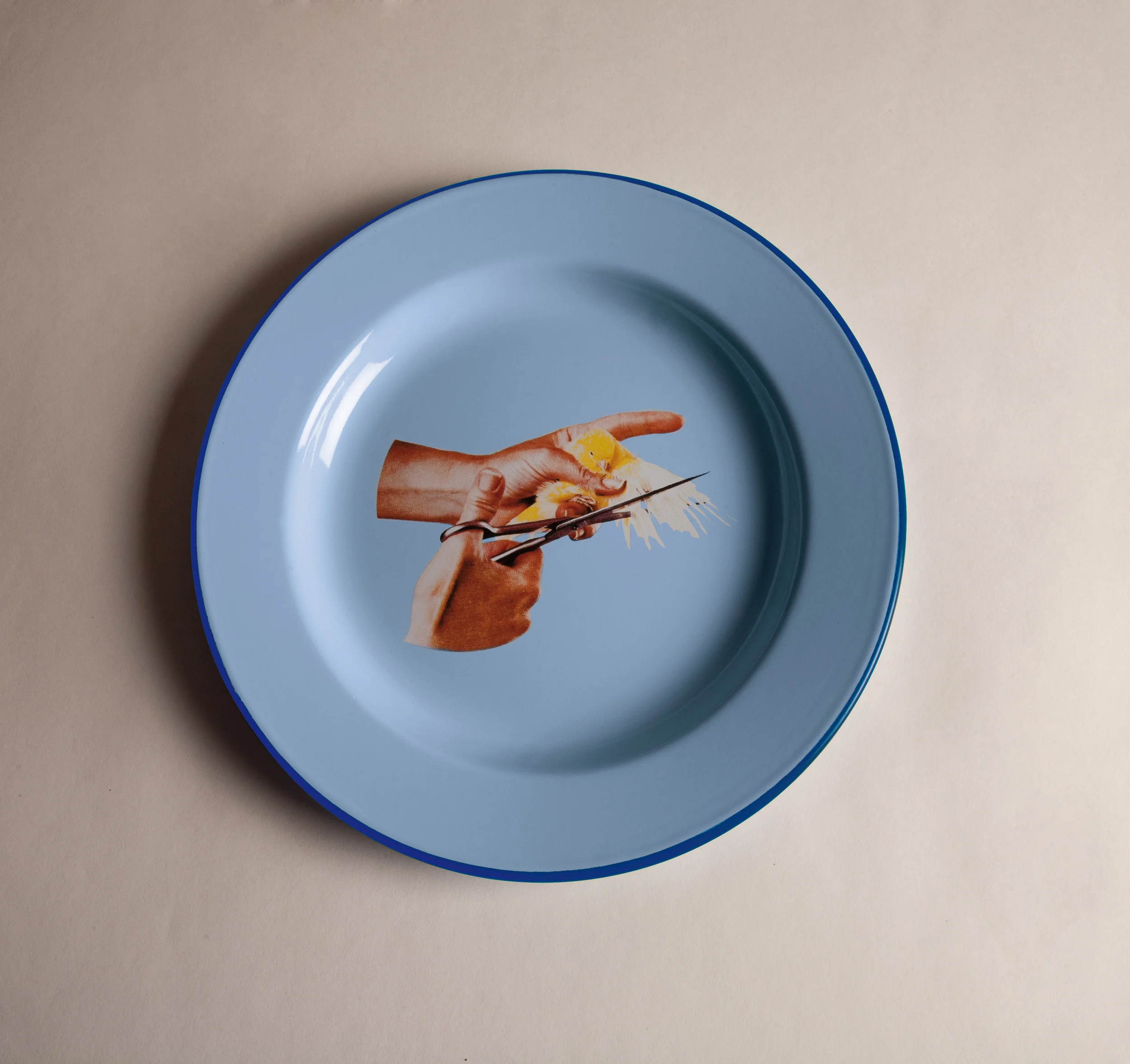 PLATE BIRD