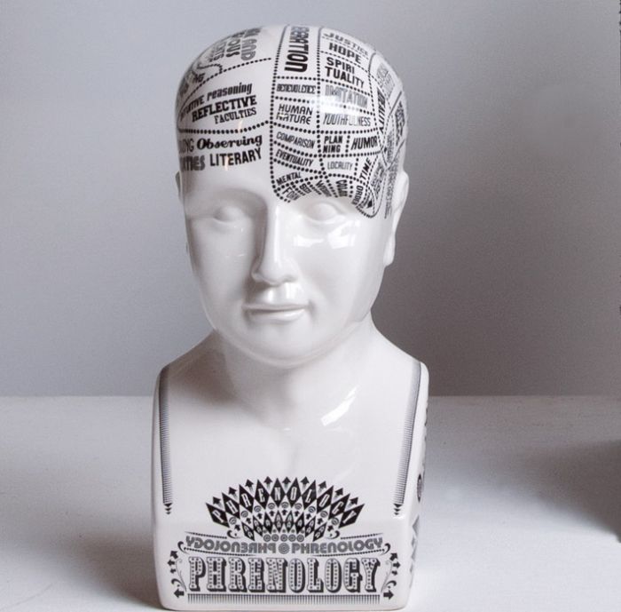 Hand printed Phrenology head by Petrantoni for Seletti