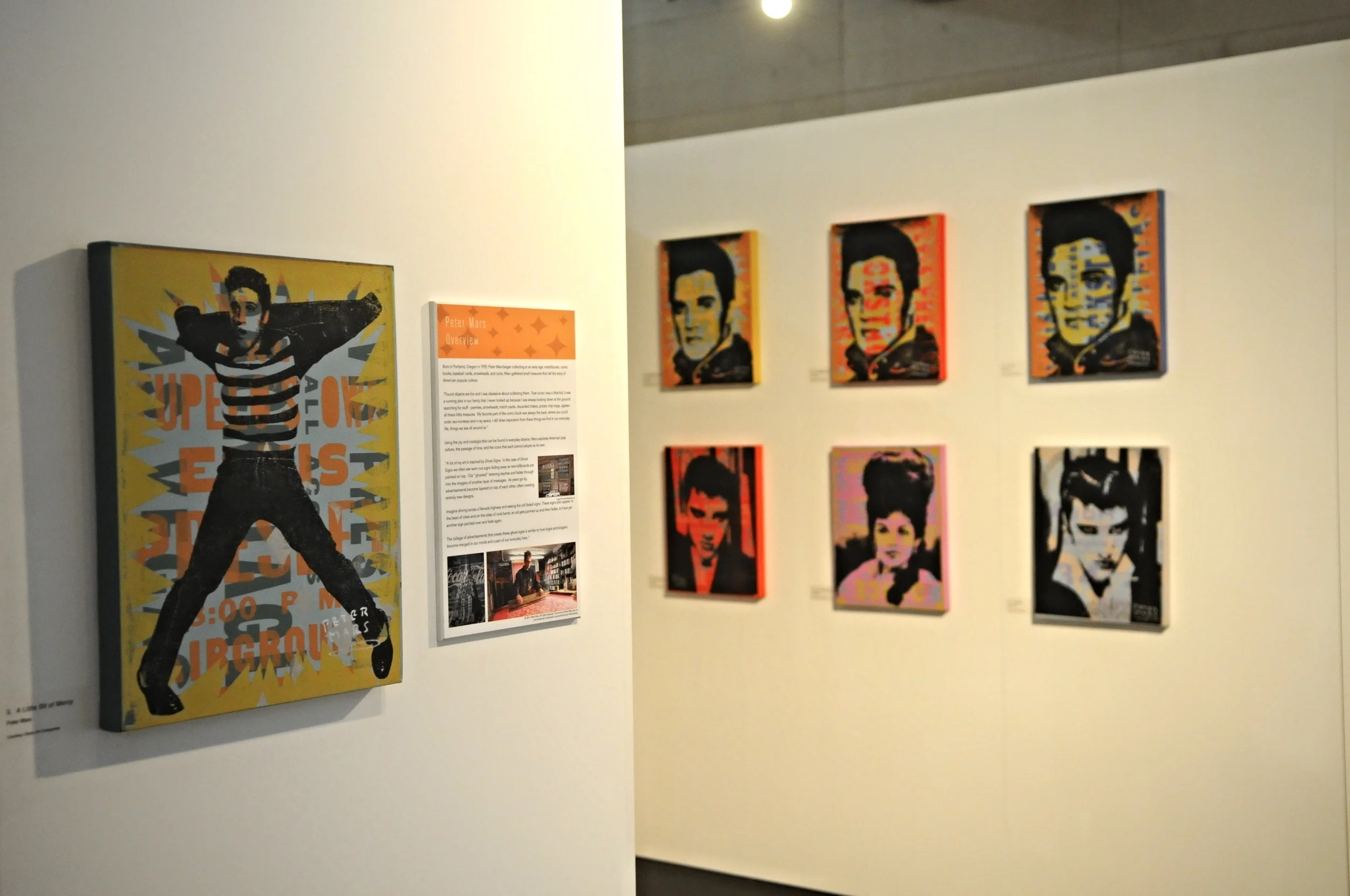 elvis-presley-art-installation-peter-mars-artist.JPG