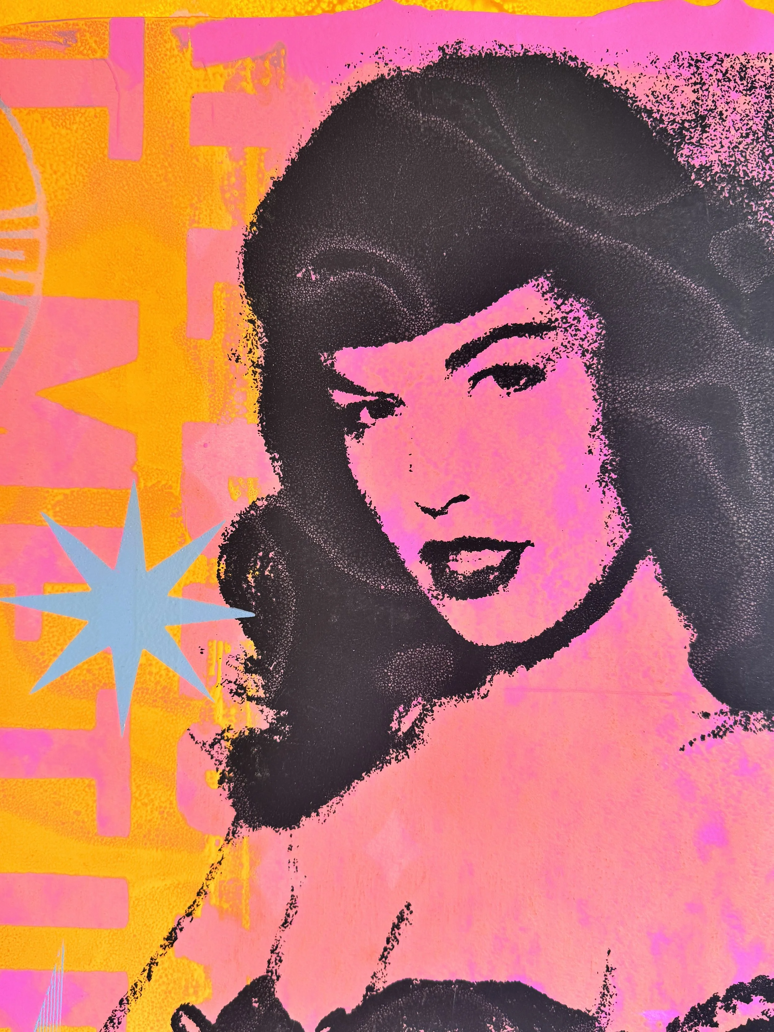 Bettie Page Hot Pink, 15x25 p face.jpeg