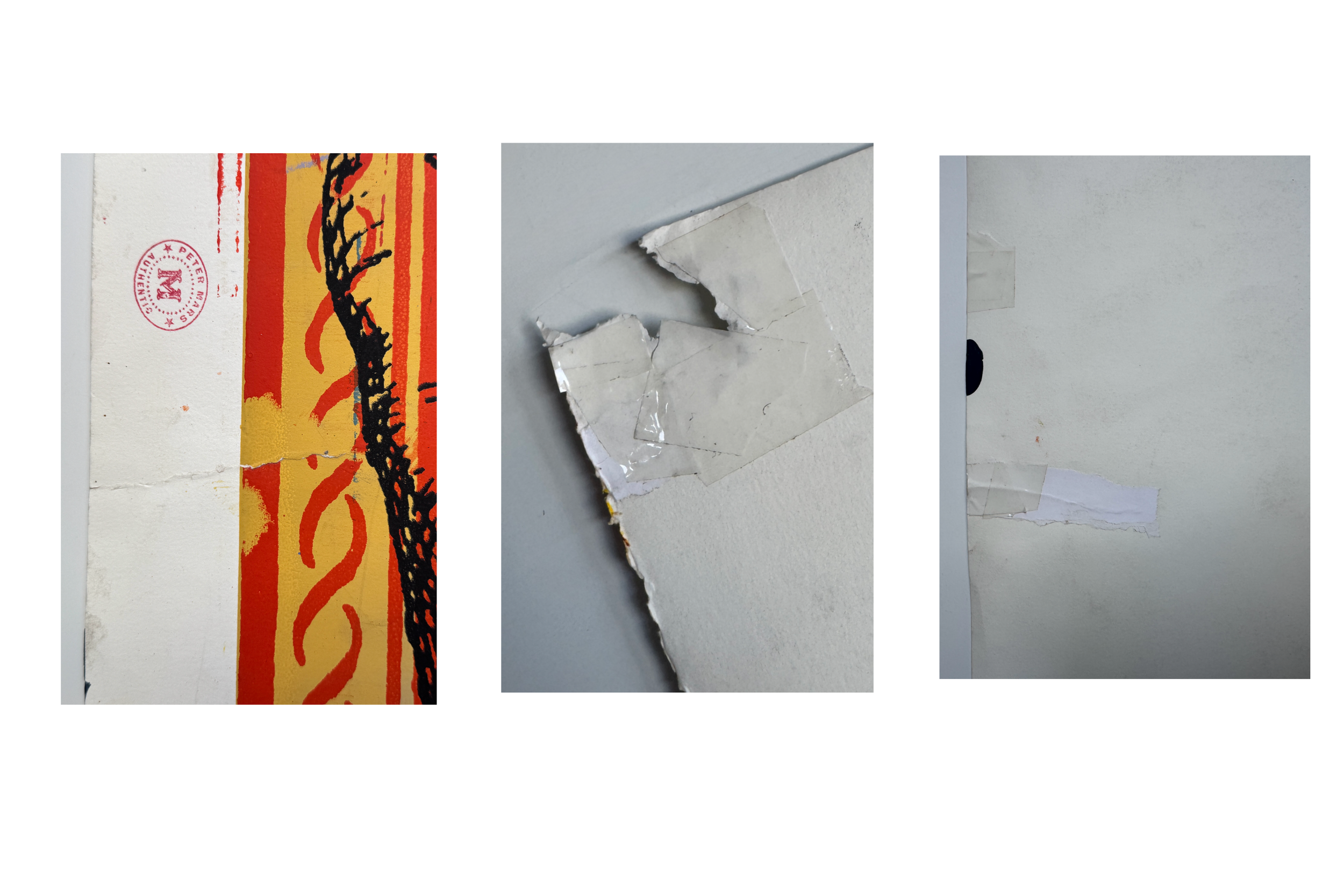 collage 5.PNG