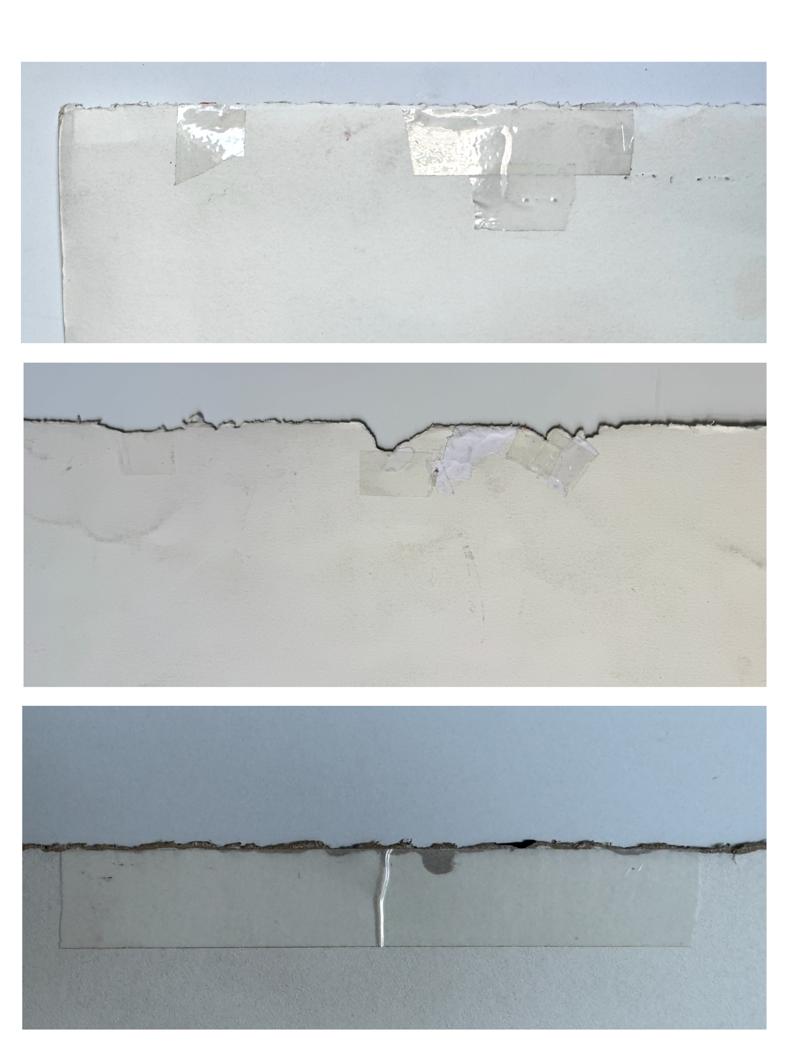 collage 4.PNG