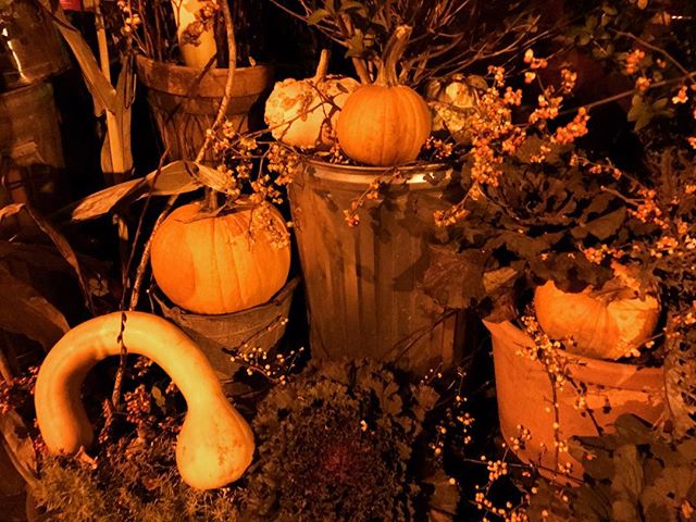 Pumpkin Patch at The Pig #thespottedpig #nyc #fall #wine #winelover #instawine