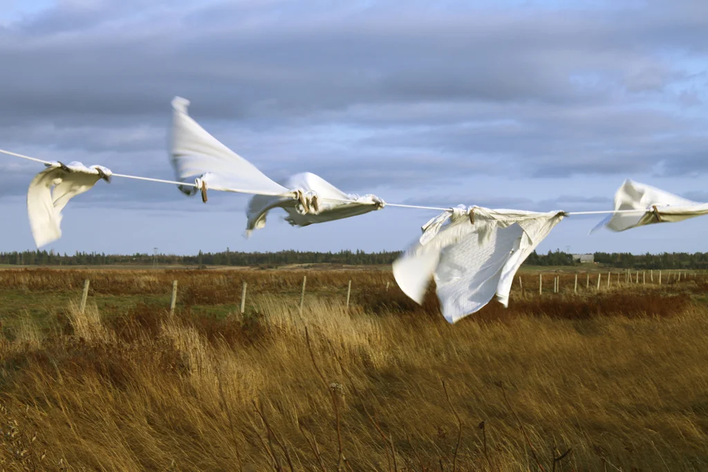 Industrial Domestic #2 : Laundry Line Antenna_4741_Autumn Wind c/u, 12 x 18 Archival C-print on chromira paper 2014-2015, 150.00 CAD, SOLD