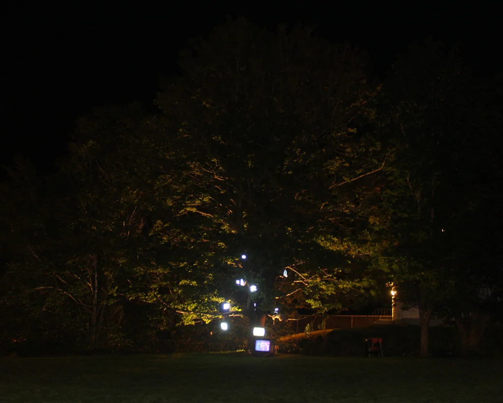 Last Days of Snow: Nightlights Like Fireflies_2697, 16 x 20 Archival C-print on chromira paper 2011-2014, 175.00 CAD
