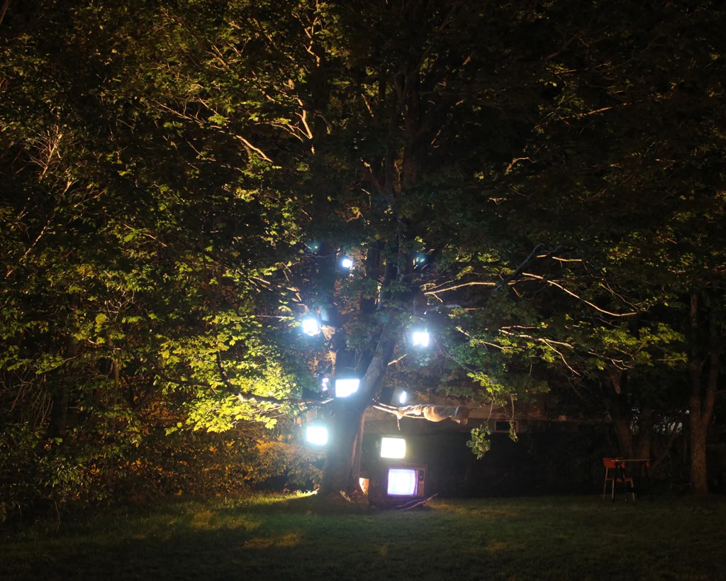 Last Days of Snow: Nightlights Like Fireflies_2700, 16 x 20 Archival C-print on chromira paper 2011-2014, 175.00 CAD