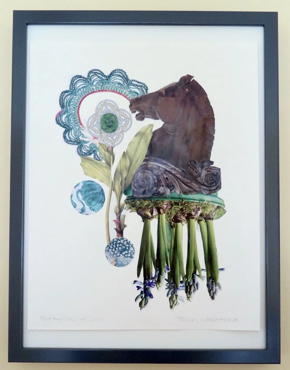 Botanical 45, 2017, hand cut paper, vintage botanical print, glue on Arches paper, 13 ¾” x 12”, framed: 17” x 13”, 250 CAD