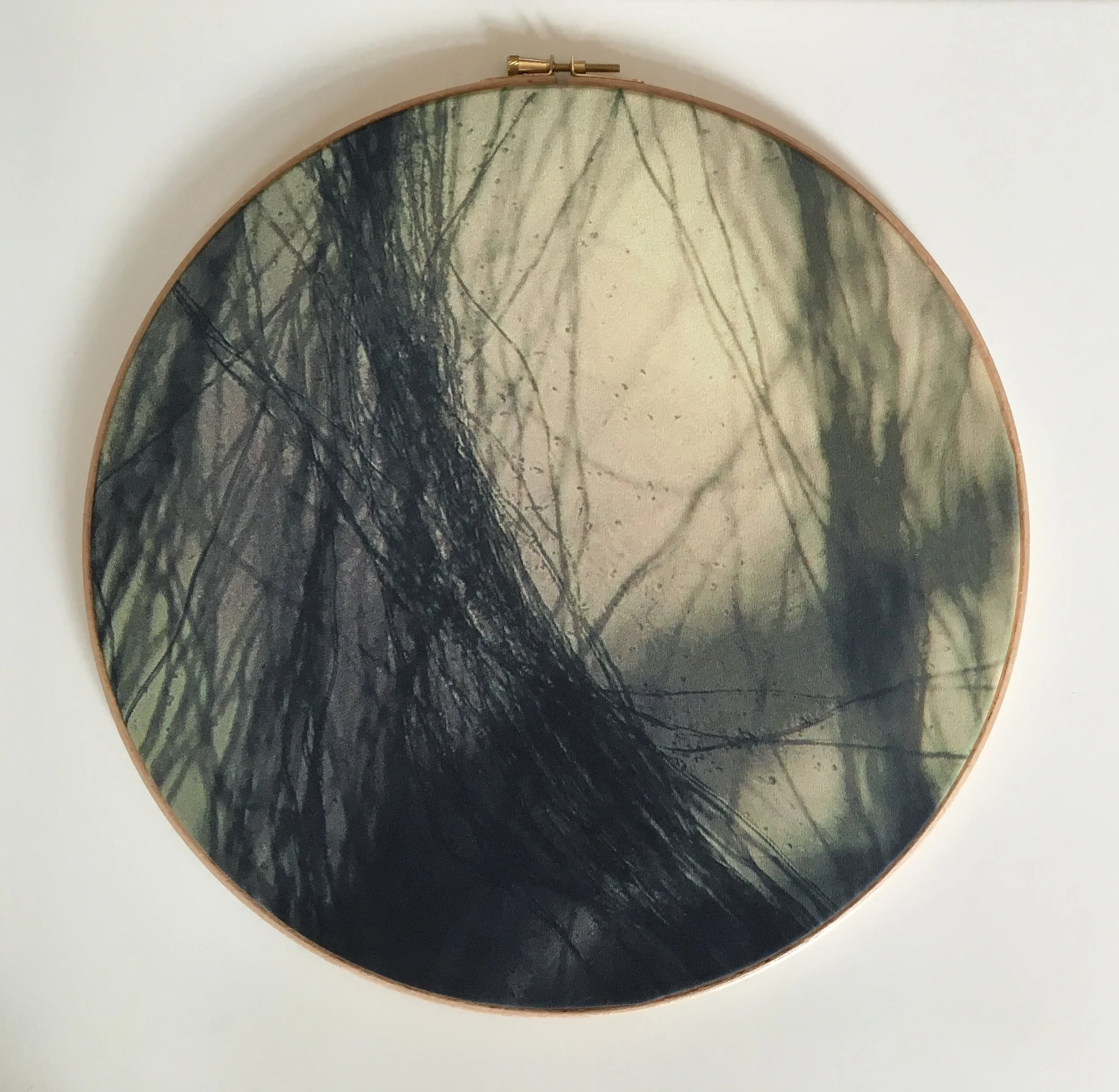 Cosms 1, 2015, Digitally printed micrographs on silk, wooden embroidery hoops, 36cm x 36cm x 1cm, 150 CAD each or all 400 CAD for the triptych