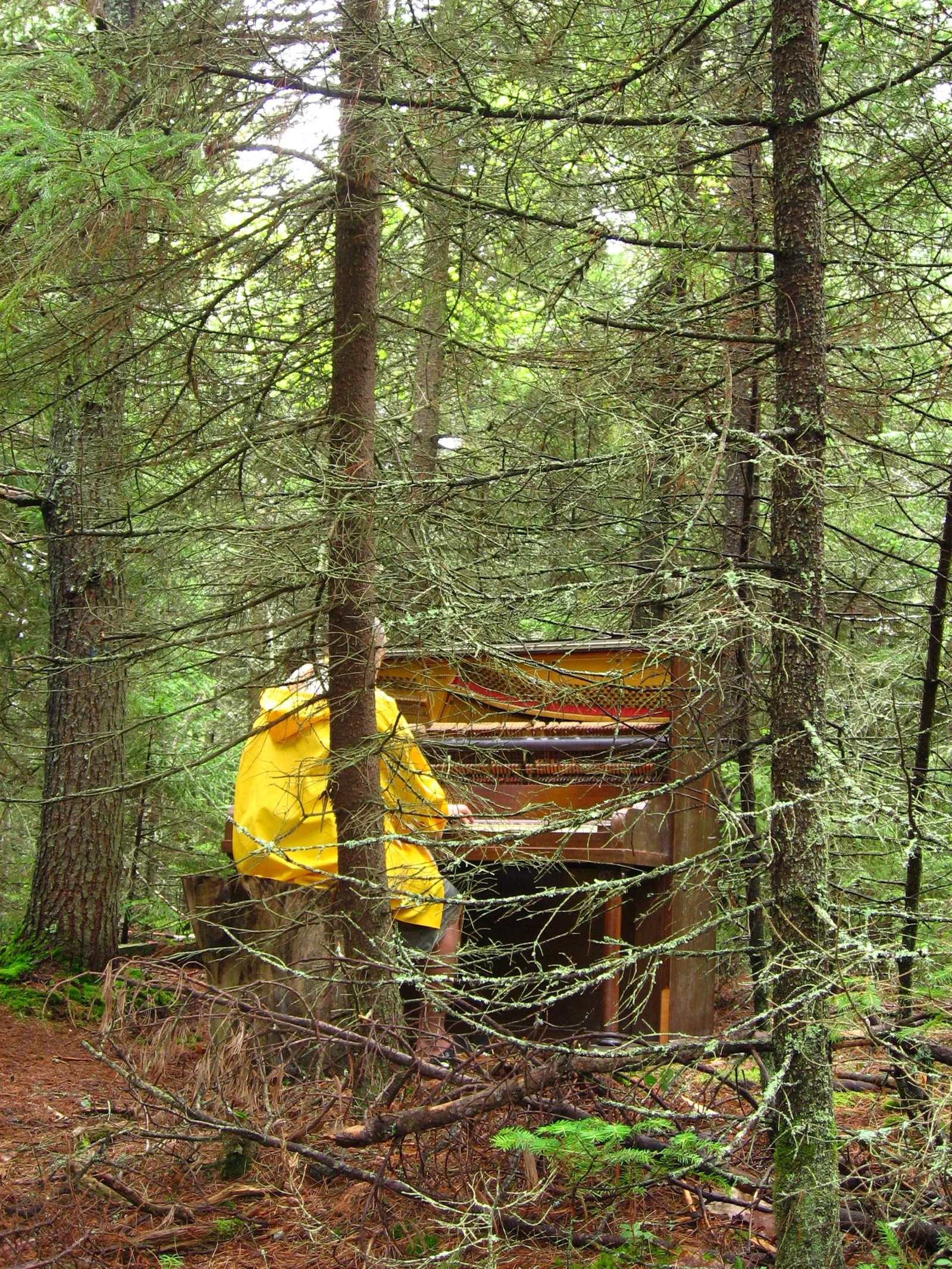 (detail of casette cover) Parchetypes, 2012, Edition of cassette tape, B-Side compilation of the project's Point Pleasant Park piano and bagpipe performance recordings, 2 cassettes remaining, 60 CAD