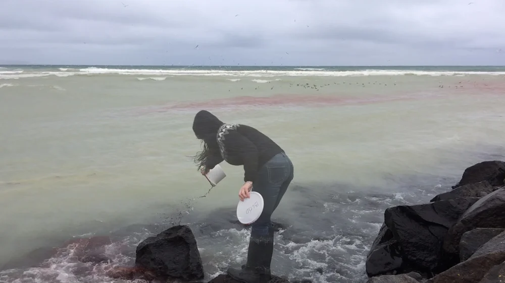 (Photo: WhiteFeather Hunter, video still "blóm + blóð"