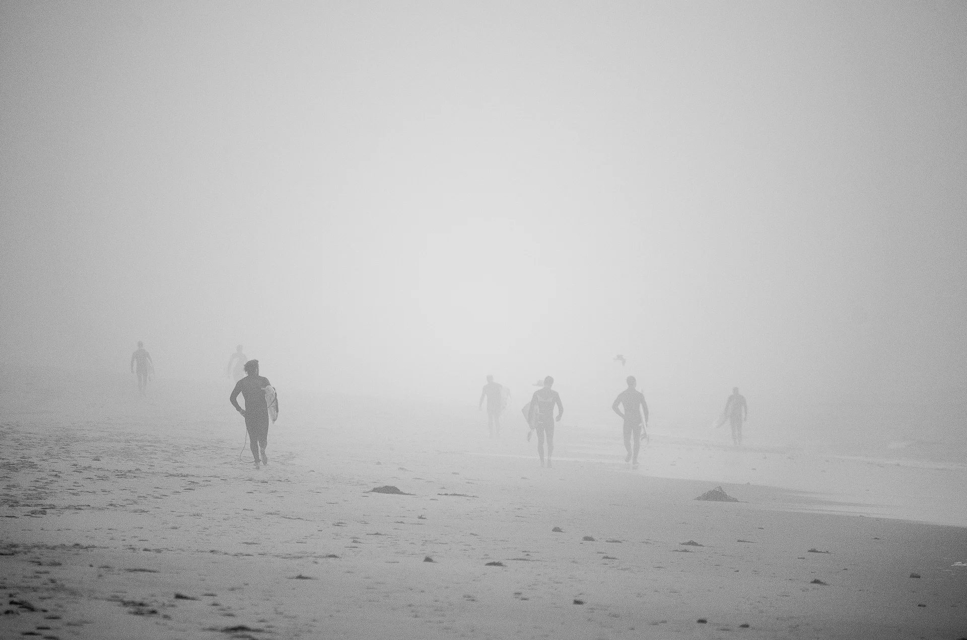 DSC_6759-1.jpg