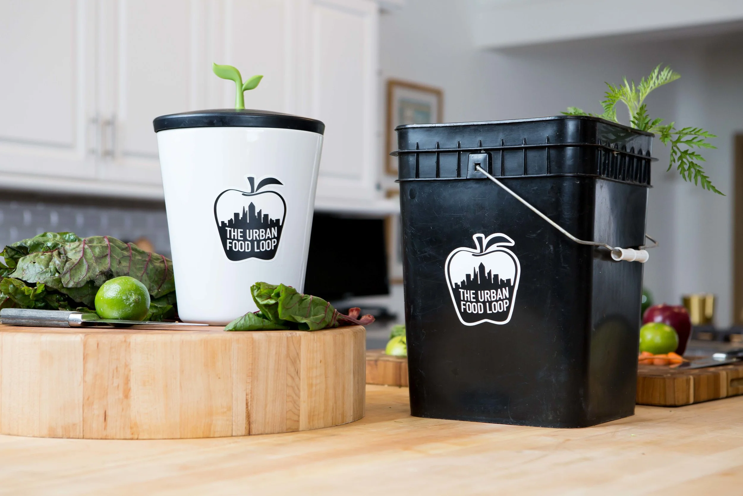 They supply you with a counter top container as well as buckets they rotate each week. 