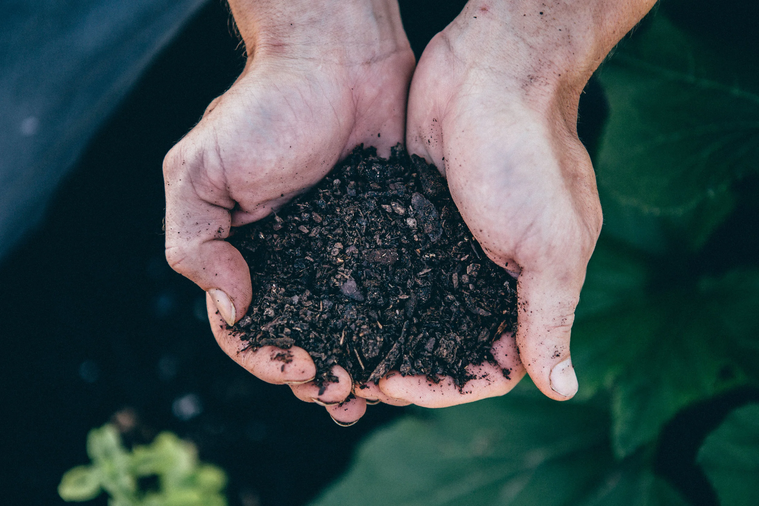 The goods: a thriving microbiome lush with all the things plants need to produce. 
