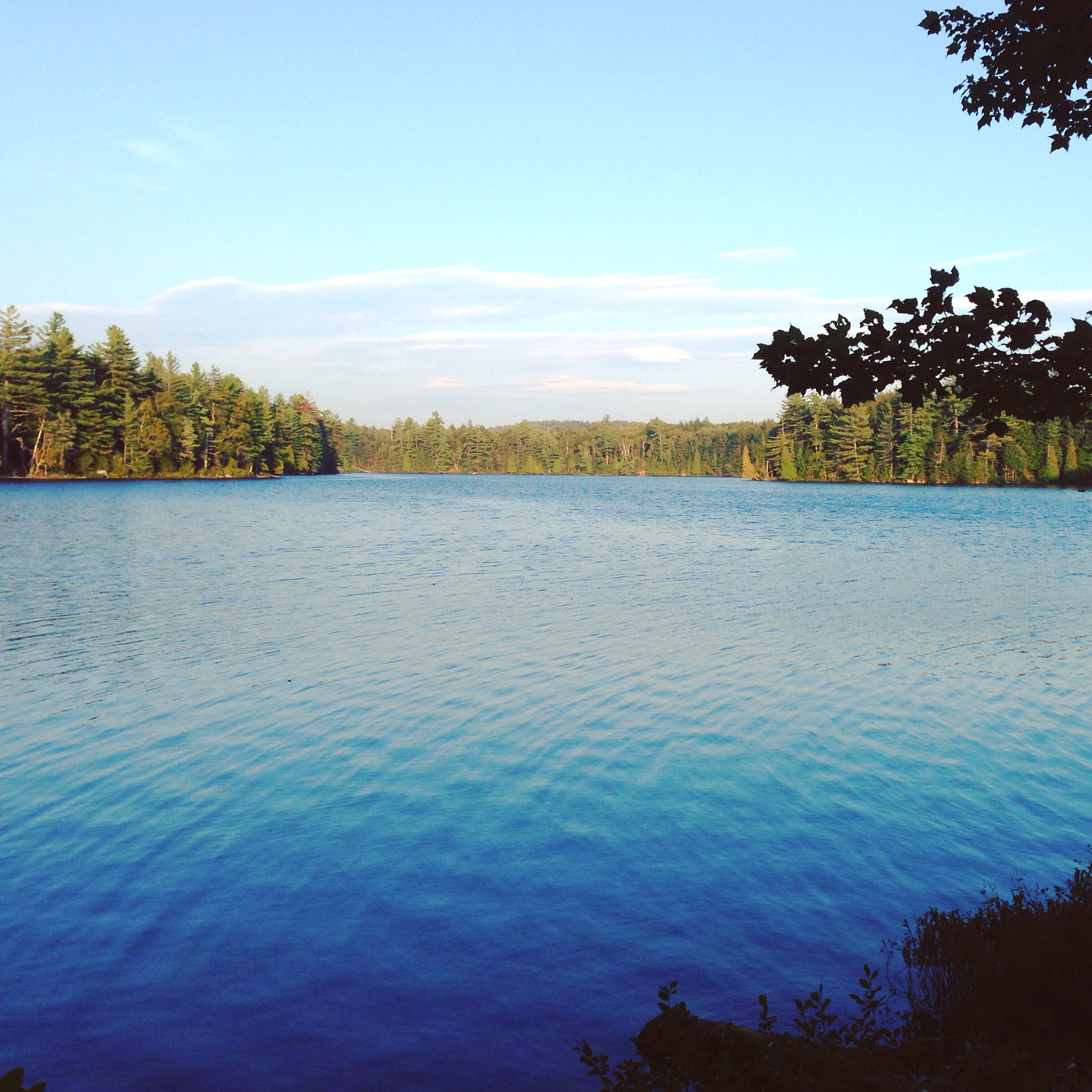 View to the left (northeast-ish) from campsite 2.