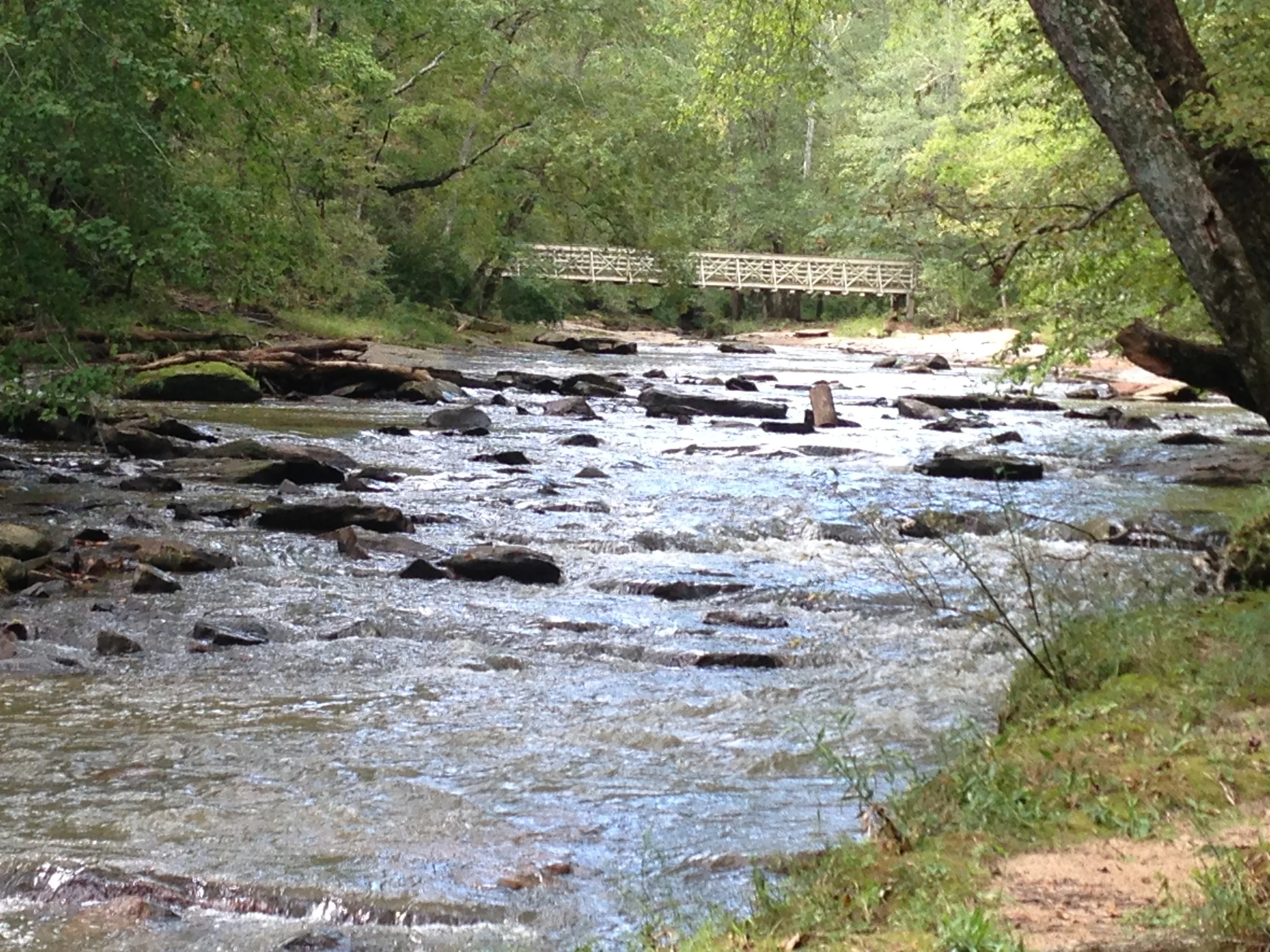 Rambling creek.