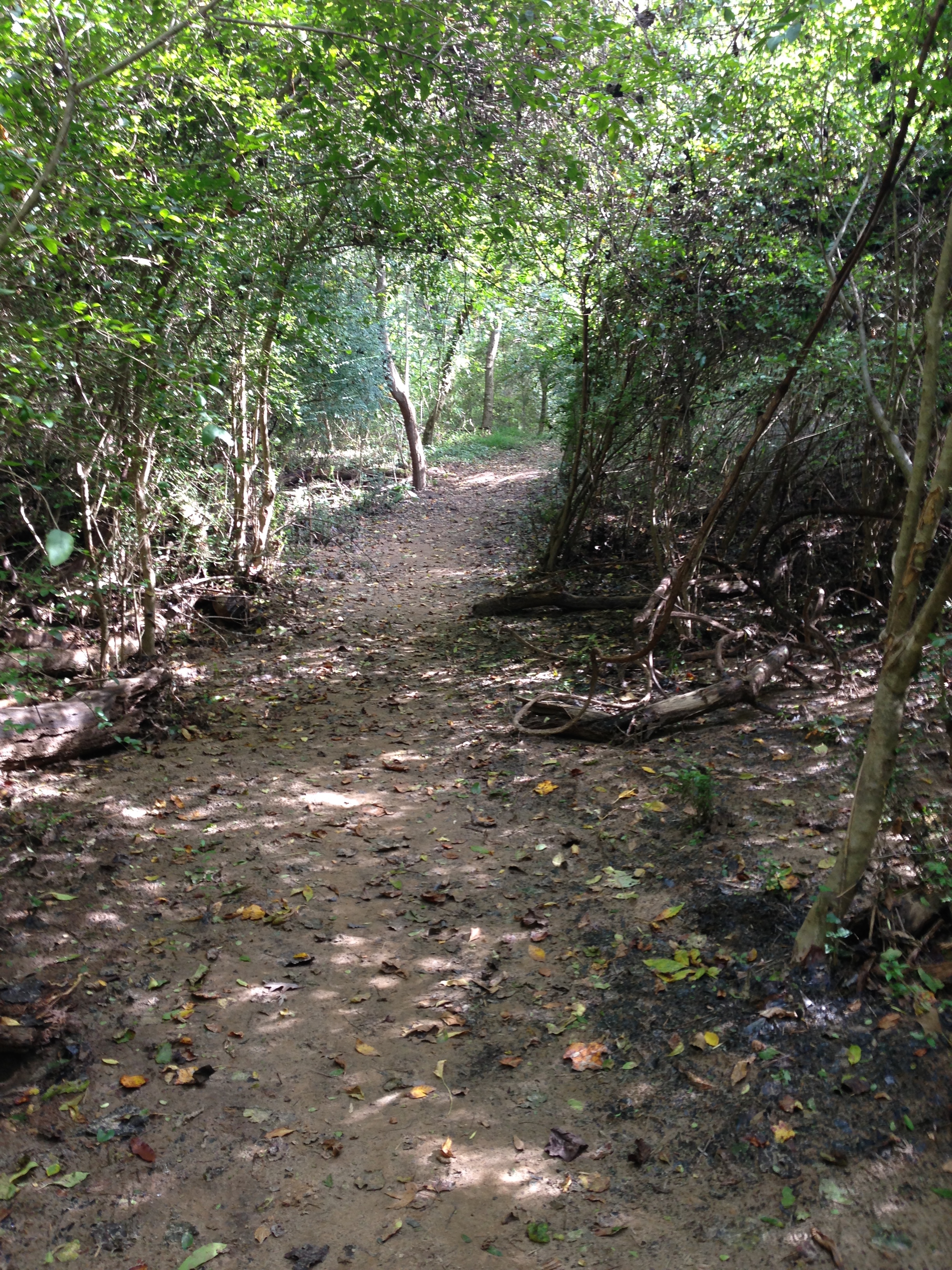 Walking along the Cottonwood Trail.