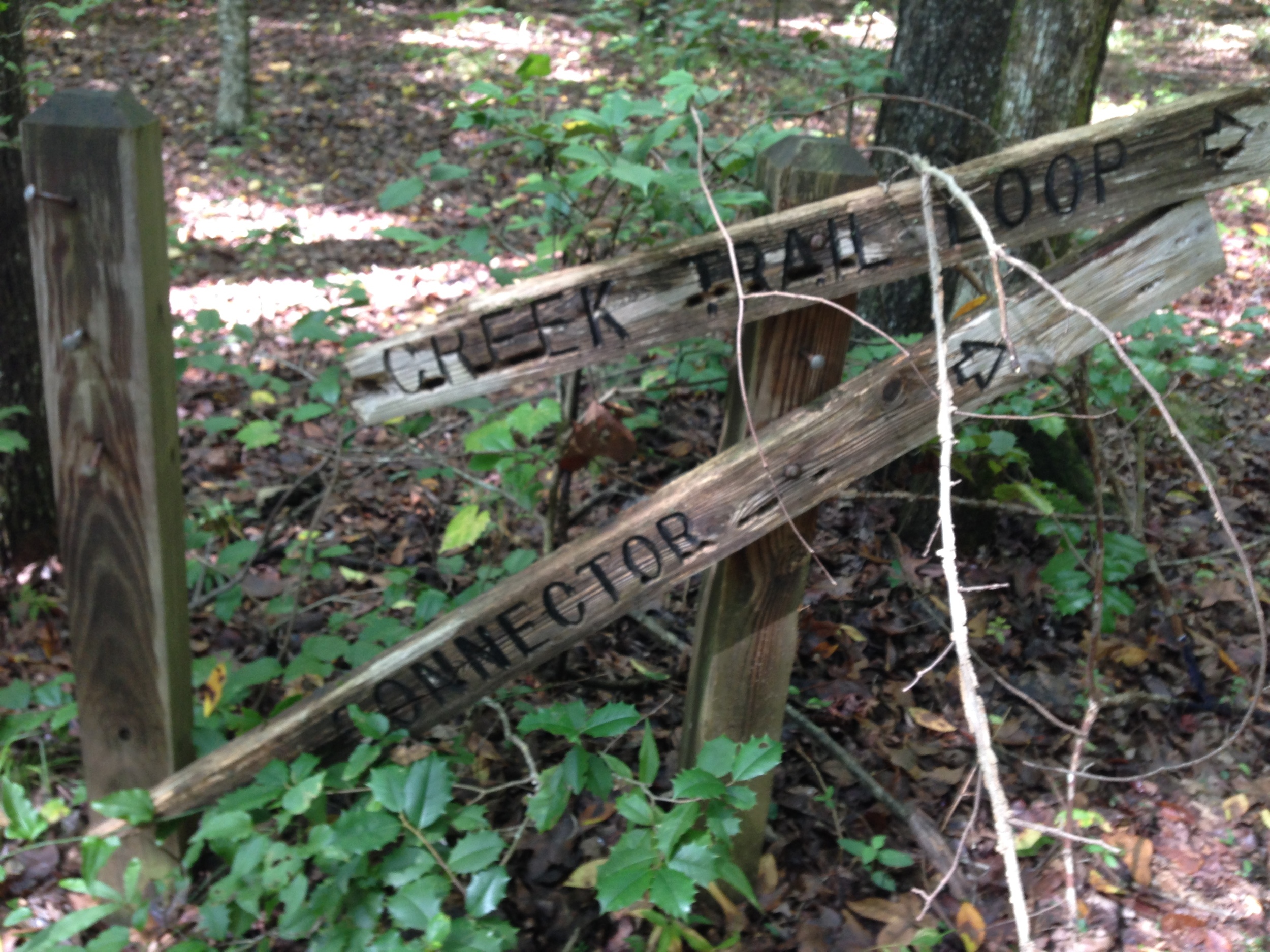 Fallen trail signs