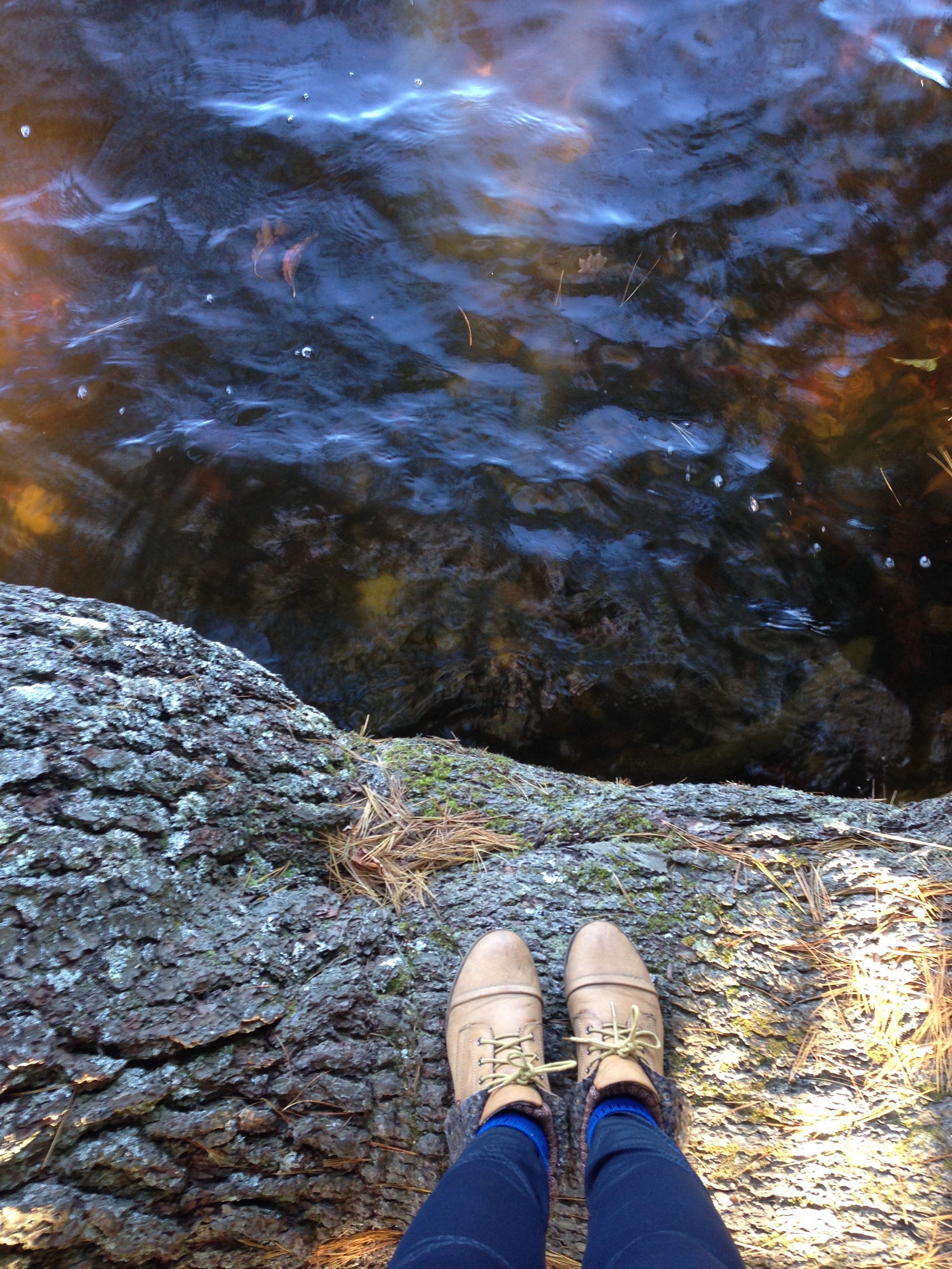 Watery reflections at Price Lake.