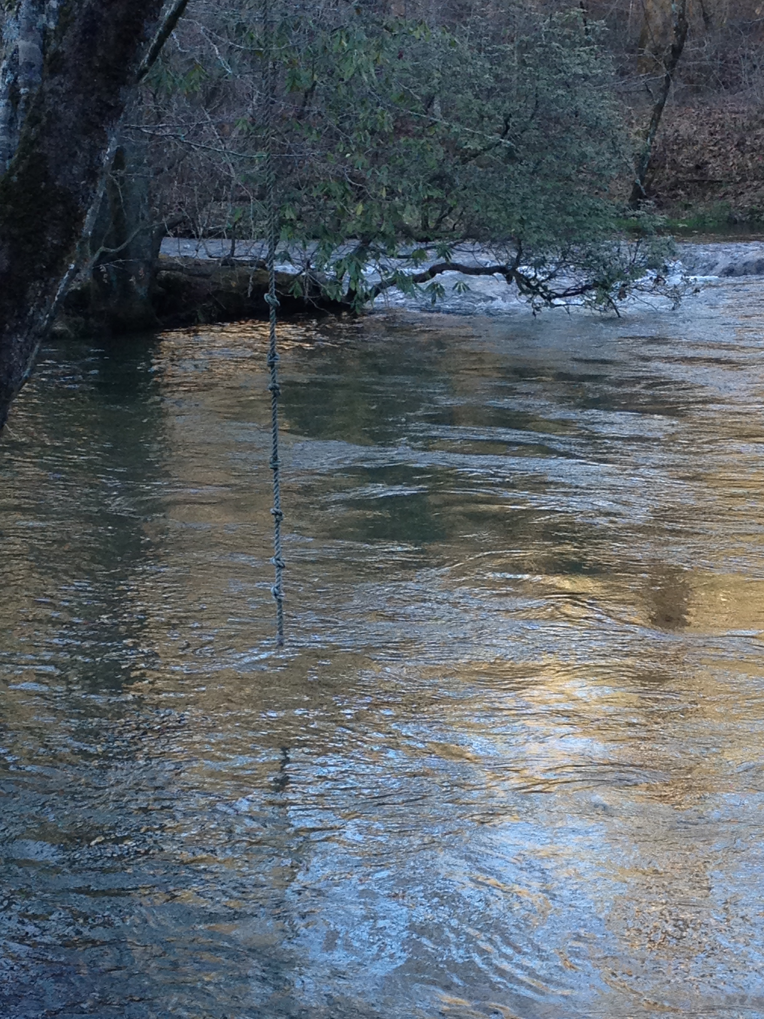 The rope swing at the summer swim hole, Betty's Creek
