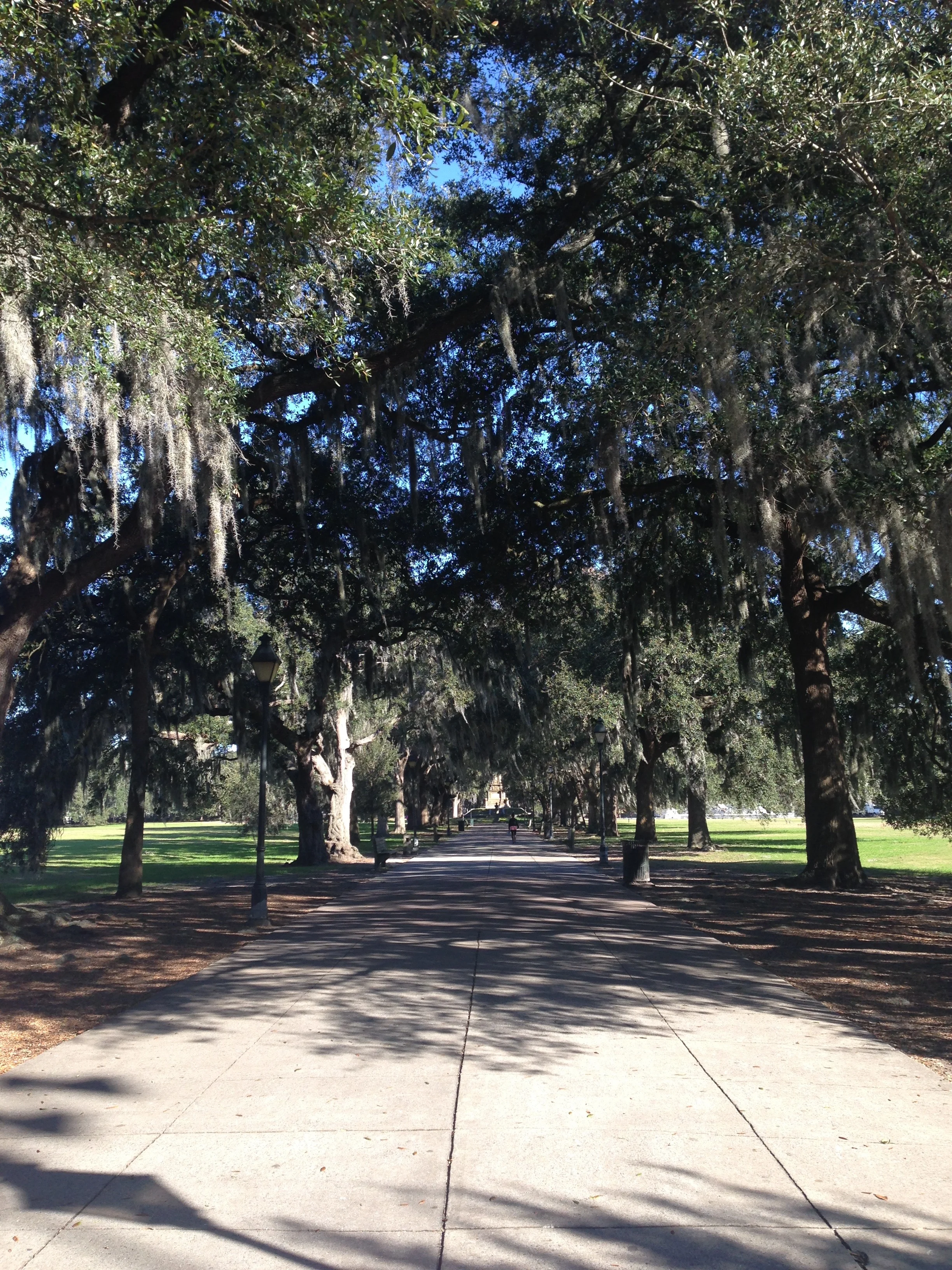 Heading into Forsyth Park.
