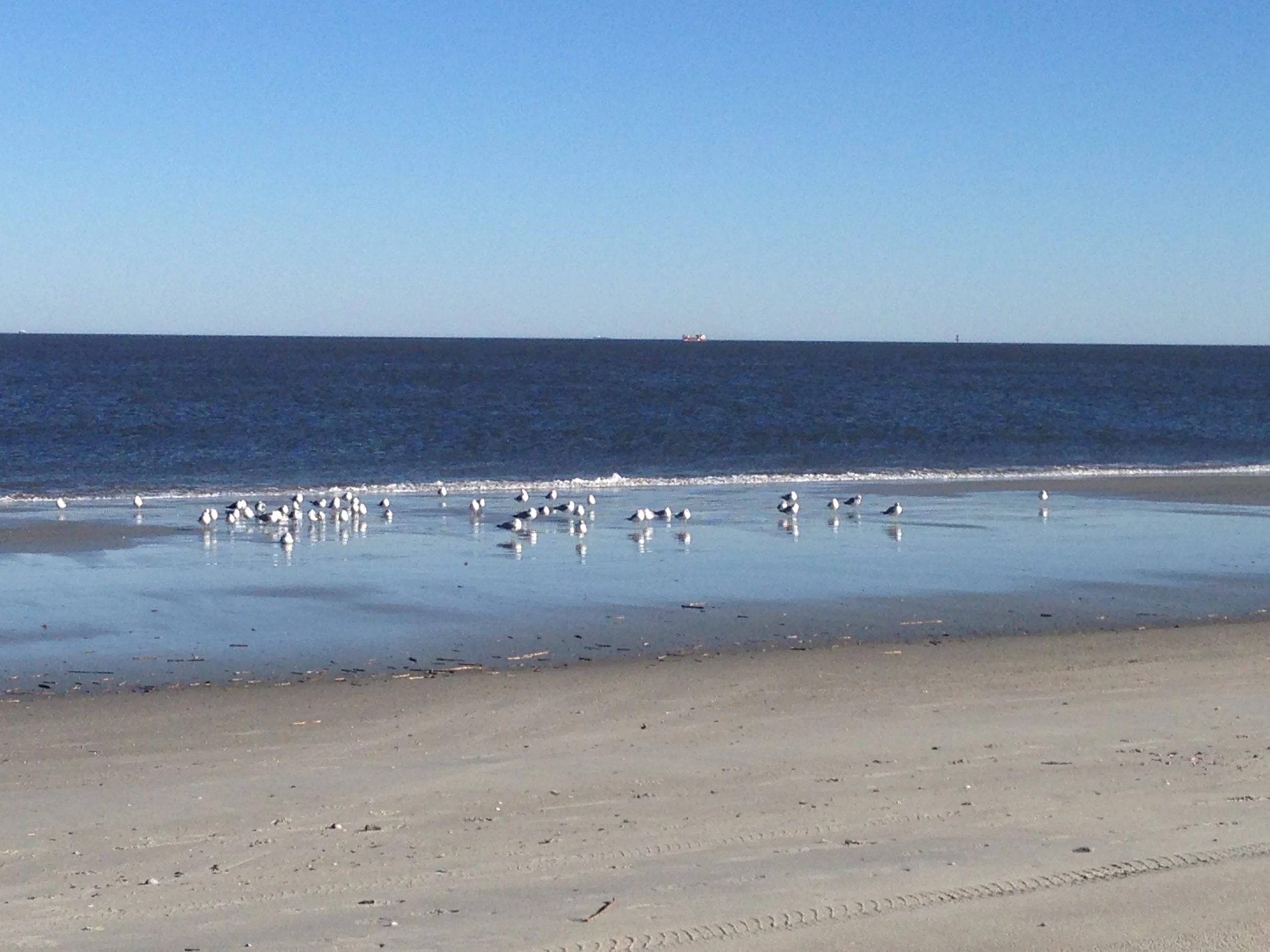 Tybee Island beach.