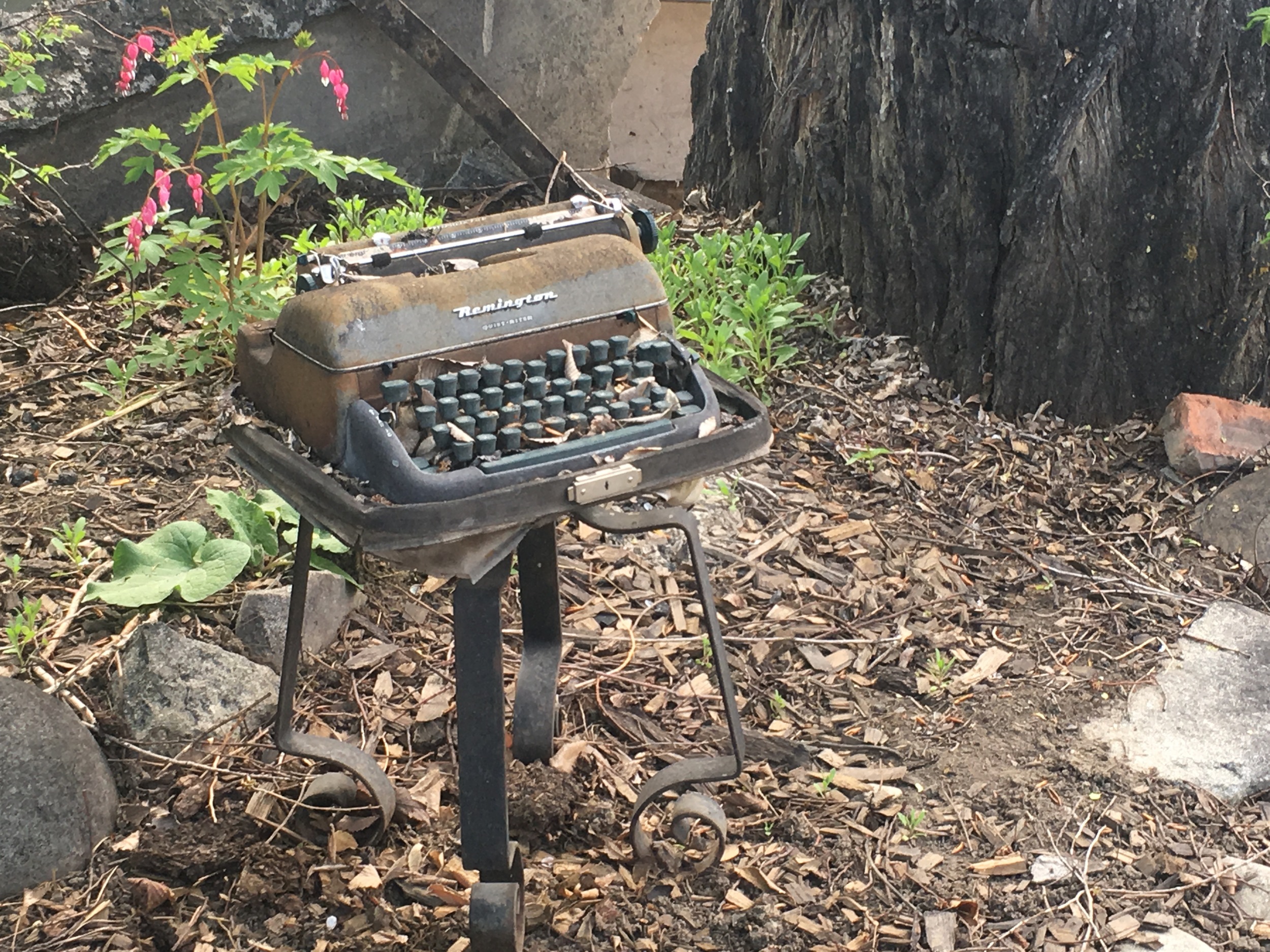 Seems like a good spot for a typewriter