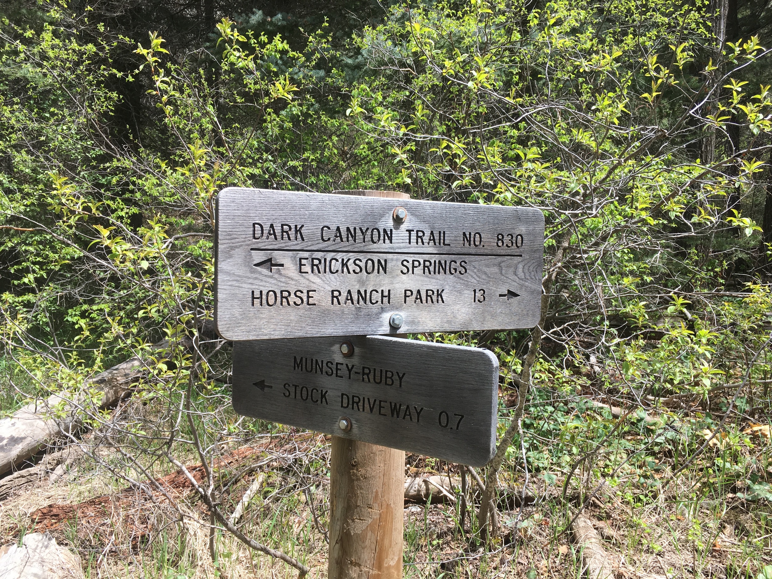 We took the Horse Ranch trail, which brings you into the heart of the canyon.