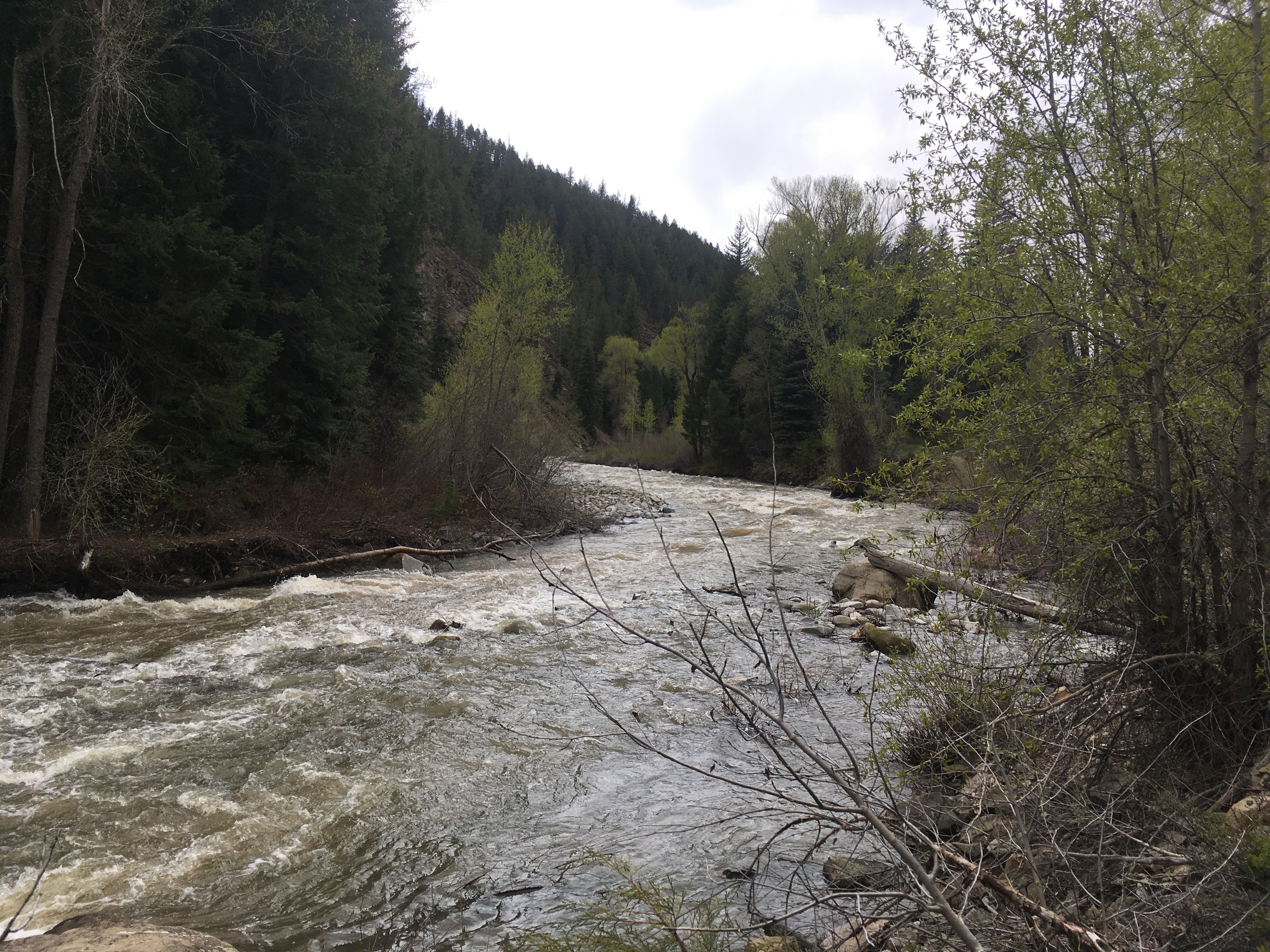 Anthracite Creek, or more accurately, river. 