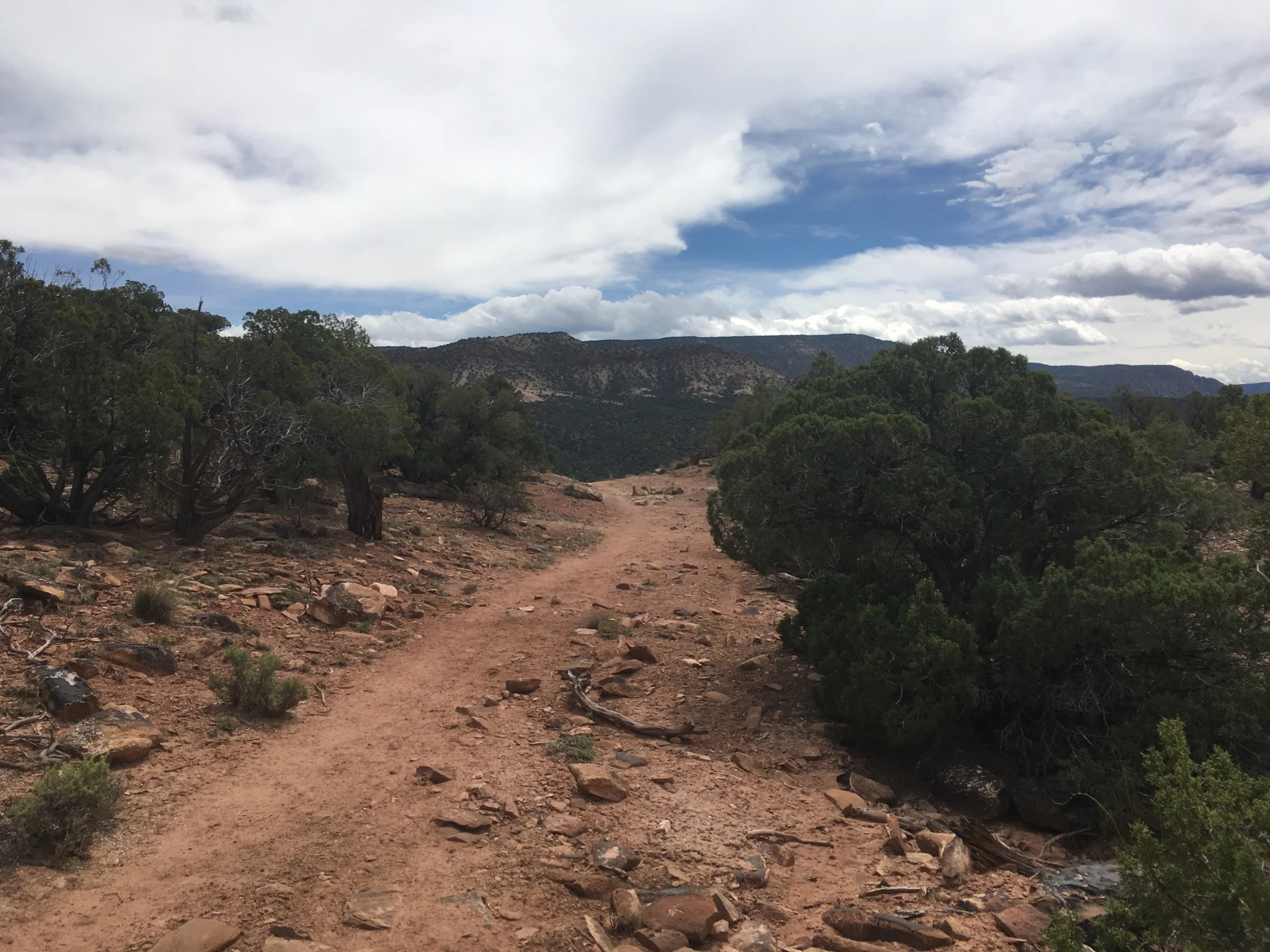 On the trail! Seriously red earth