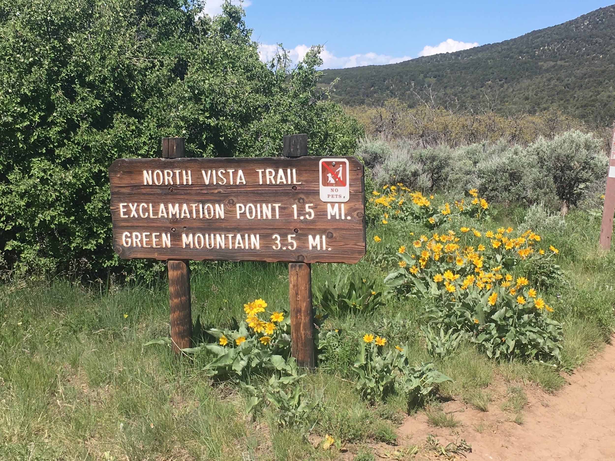 Hitting the trail.