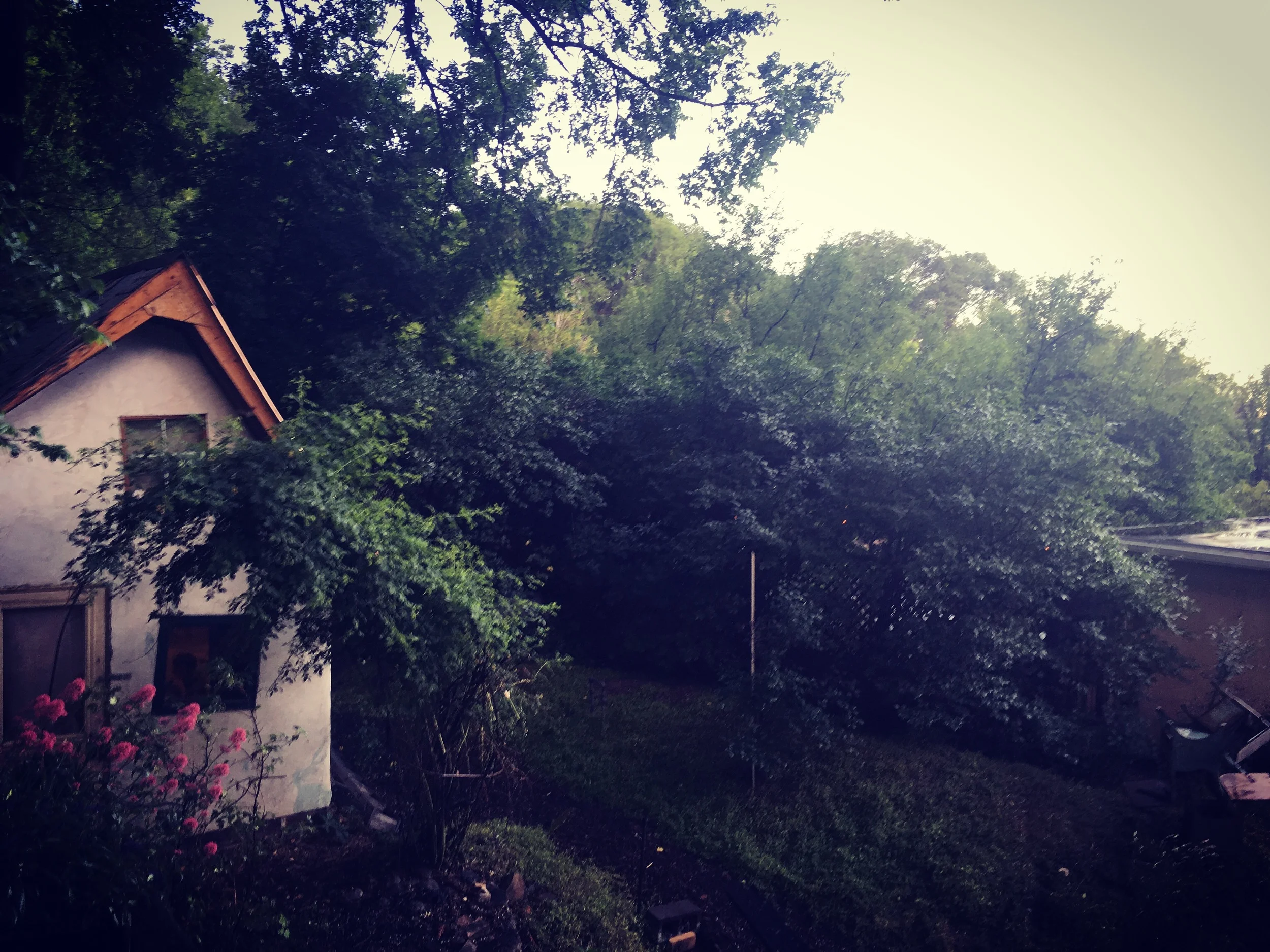 A dark mist settles over the Gingerbread House after a thunderstorm. It's been hot this month (90+ and sunny nearly every day) so any rain is a welcome relief. I love the afternoon storms that pass through.