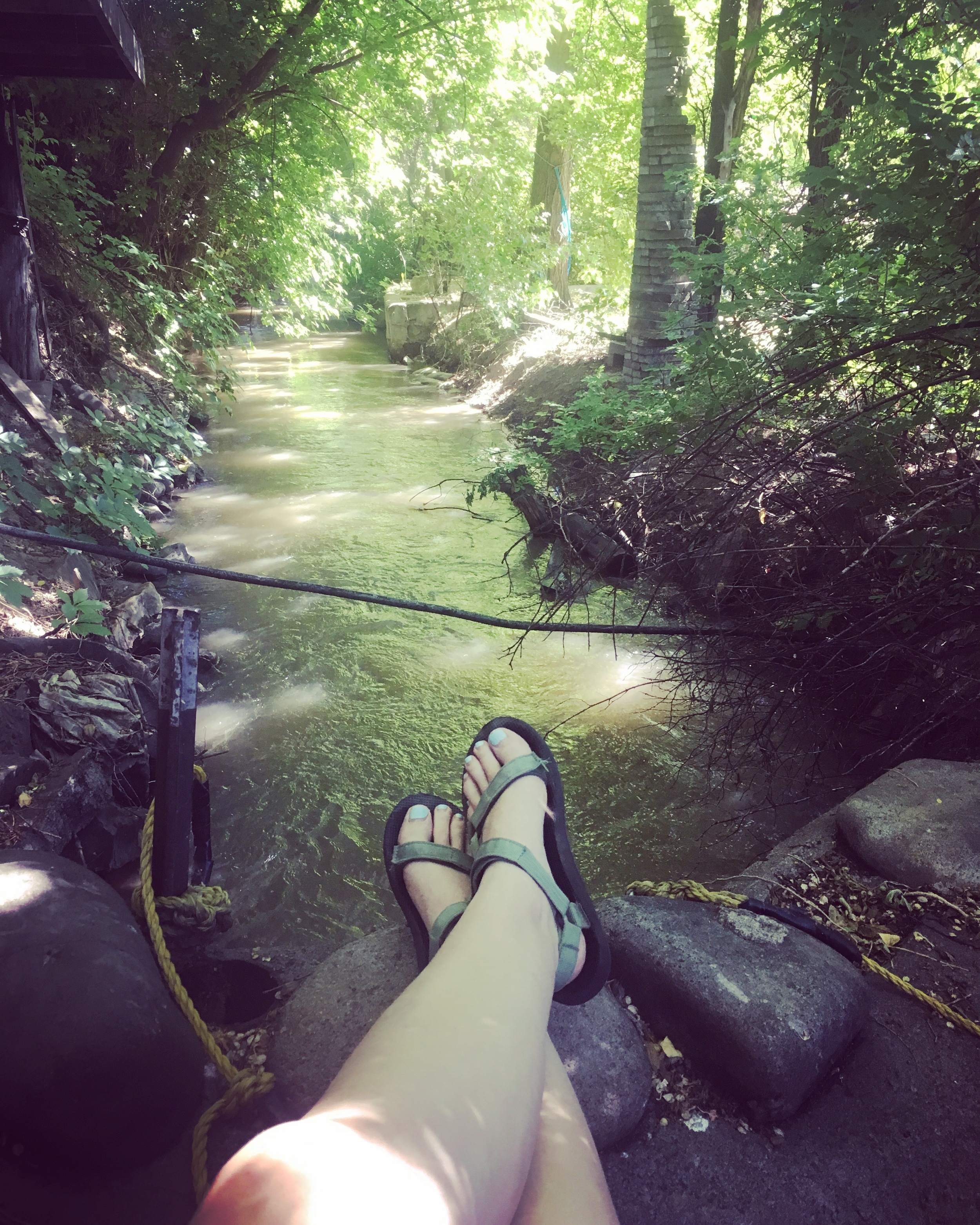 Affectionately dubbed "the ditch," this little mudbath creek runs behind Elsewhere. I've spent a few afternoons reading and writing here, under the shade. It's a peaceful spot. 