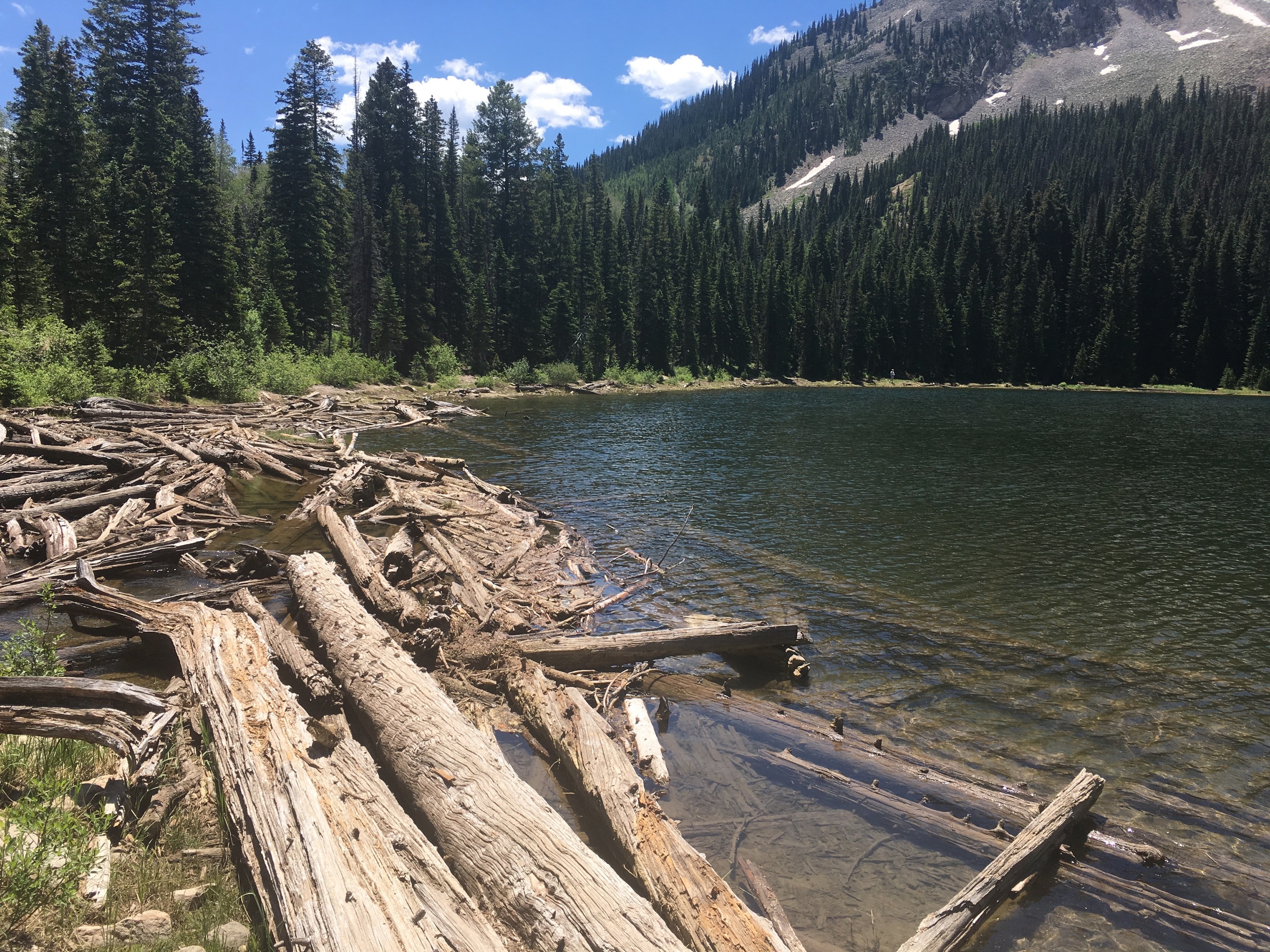 Log crossing to continue the trail