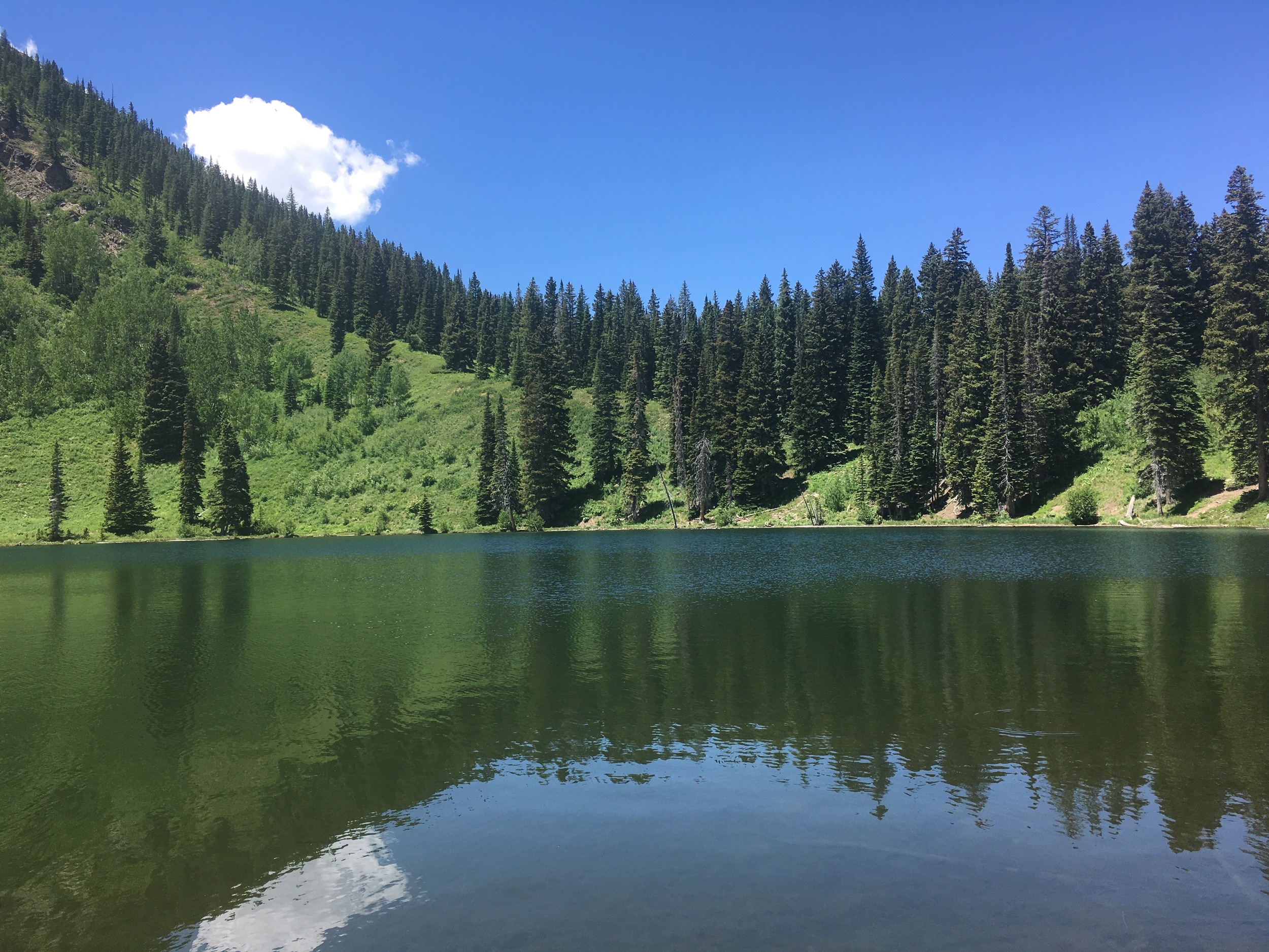 A perfect, glassy reflection at Dollar Lake. We dove in. Cold, but worth it!