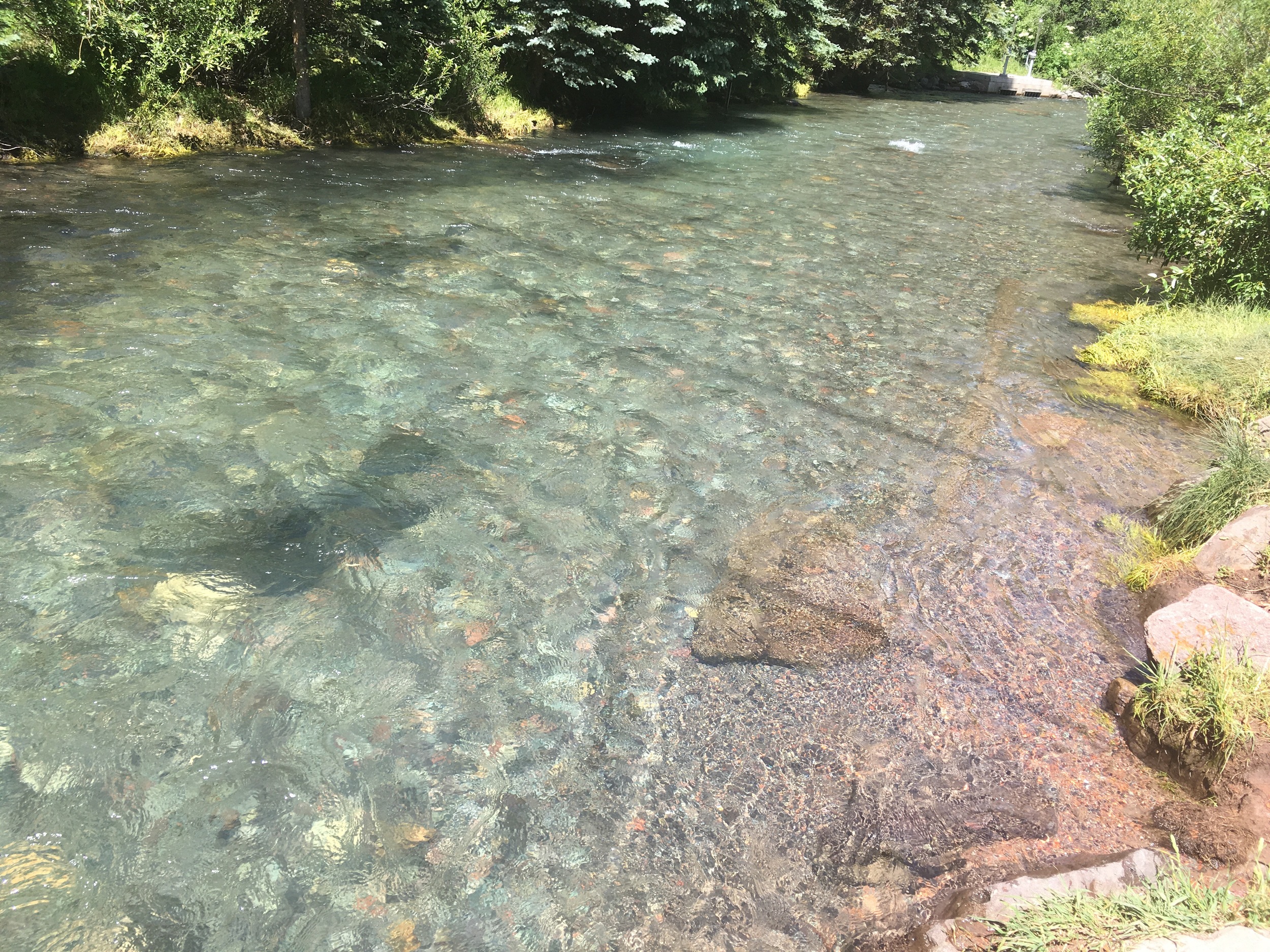 The San Miguel river runs through downtown Telluride. Some of the clearest water I've ever seen.
